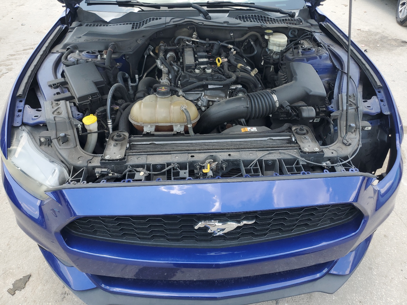 1FA6P8TH5F5412065 2015 Ford Mustang