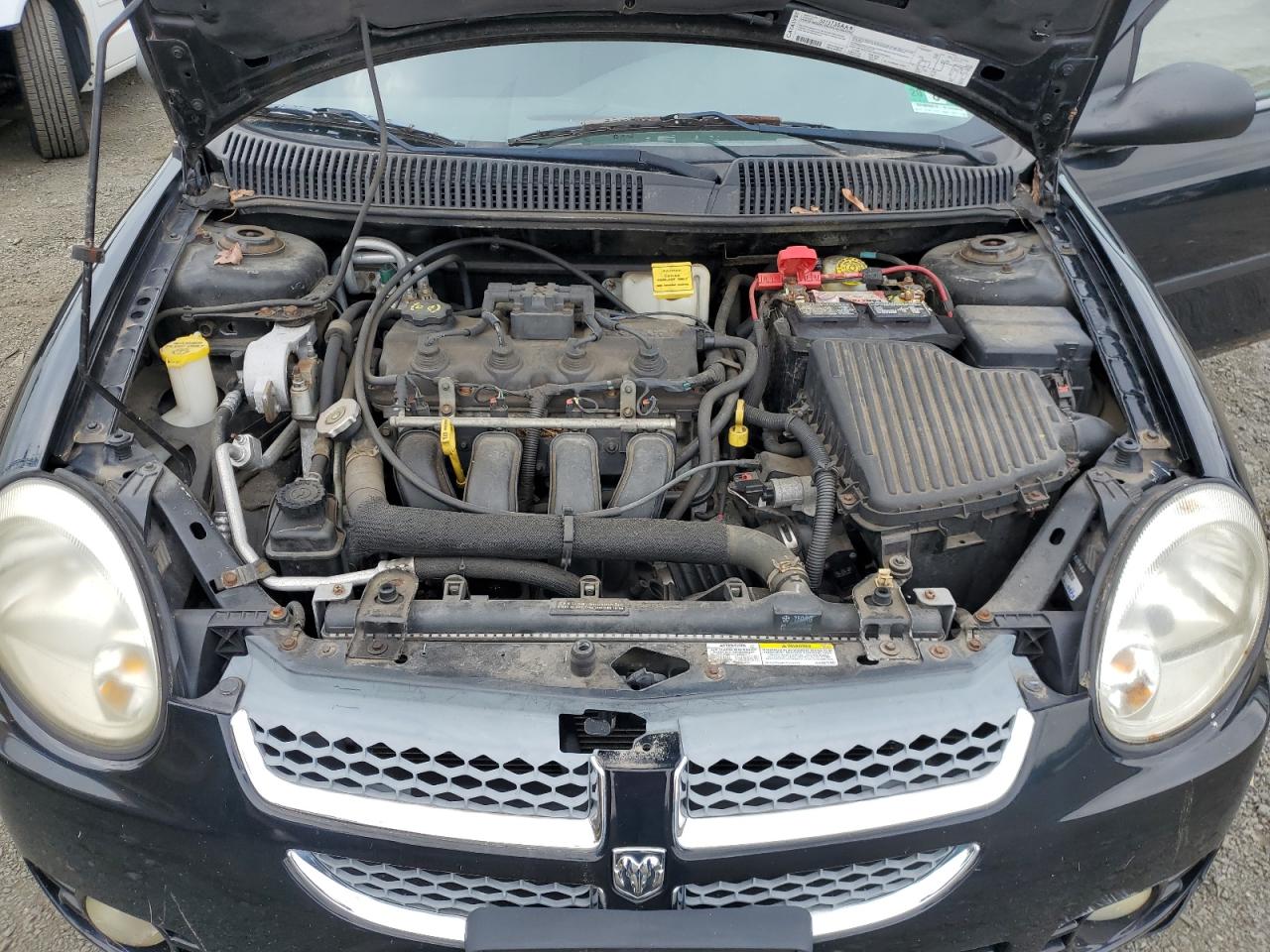 2005 Dodge Neon Sxt VIN: 1B3ES56C55D195240 Lot: 64406854