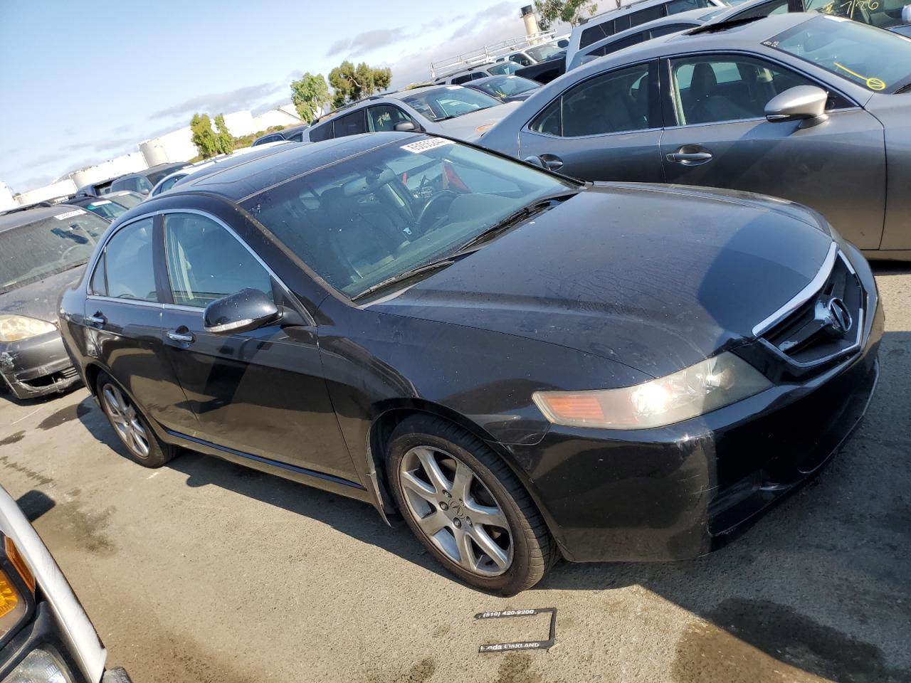 2004 Acura Tsx VIN: JH4CL96804C004462 Lot: 65055244