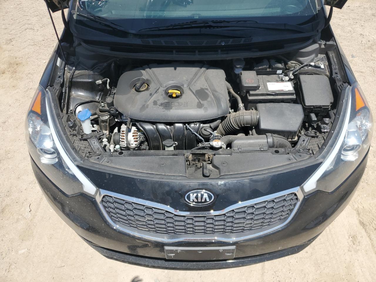 2016 Kia Forte Lx VIN: KNAFK5A89G5587069 Lot: 65657574