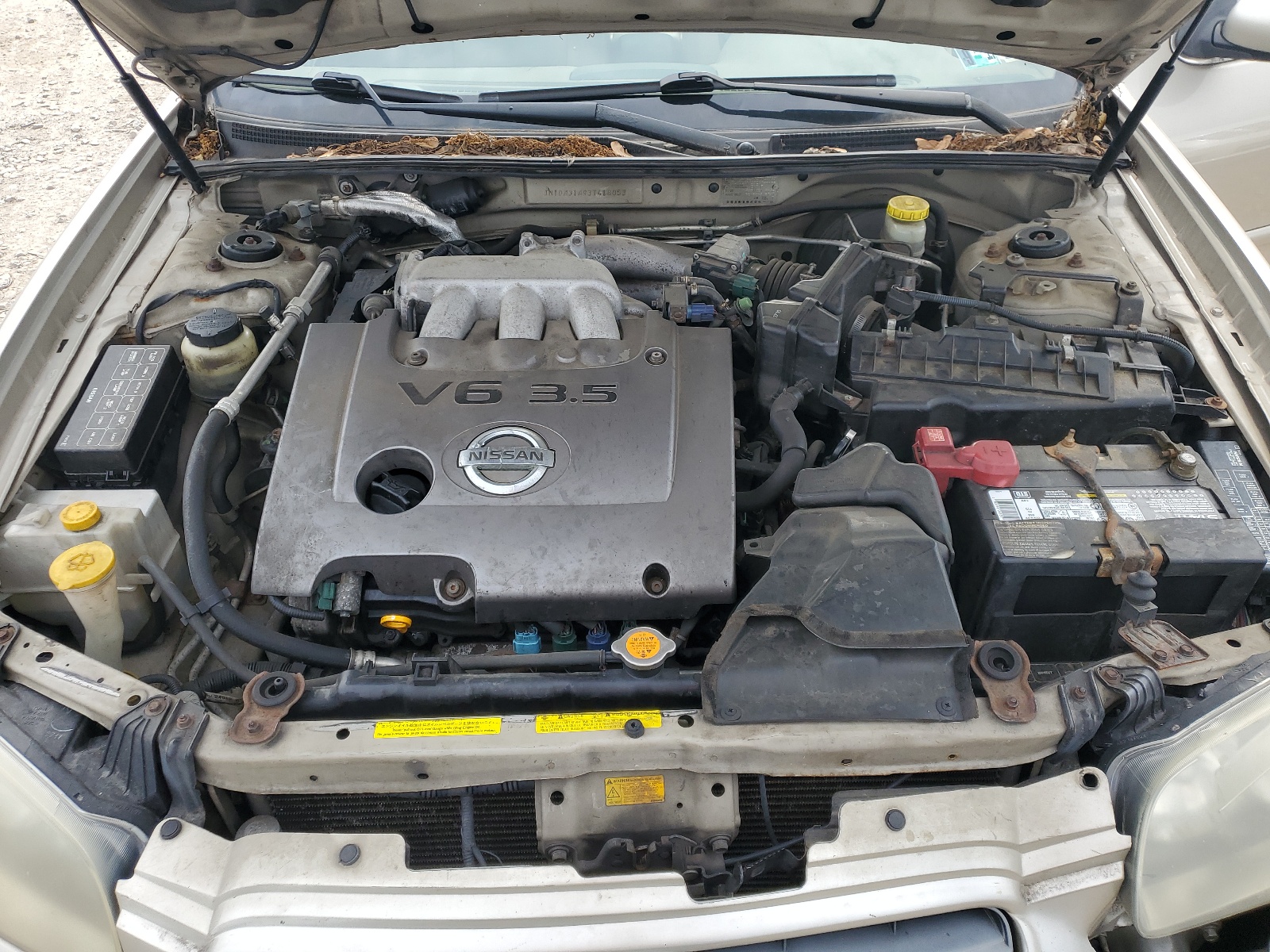 JN1DA31A93T418053 2003 Nissan Maxima Gle