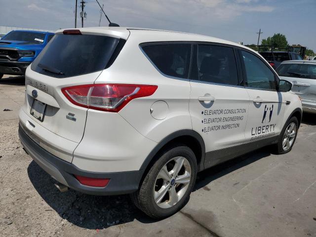  FORD ESCAPE 2014 White