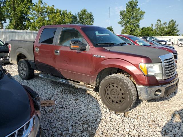 1FTFW1EV5AFD53948 | 2010 Ford f150 supercrew