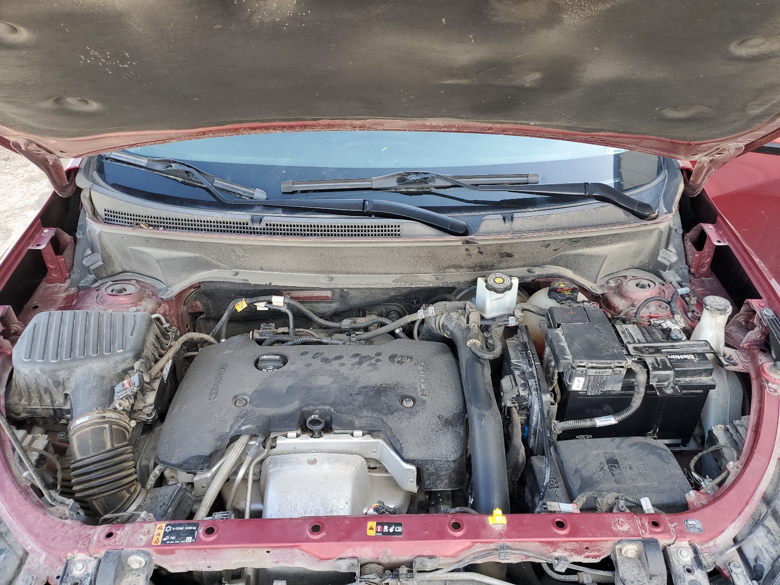 3GNAXLEX1KL204486 2019 Chevrolet Equinox Lt