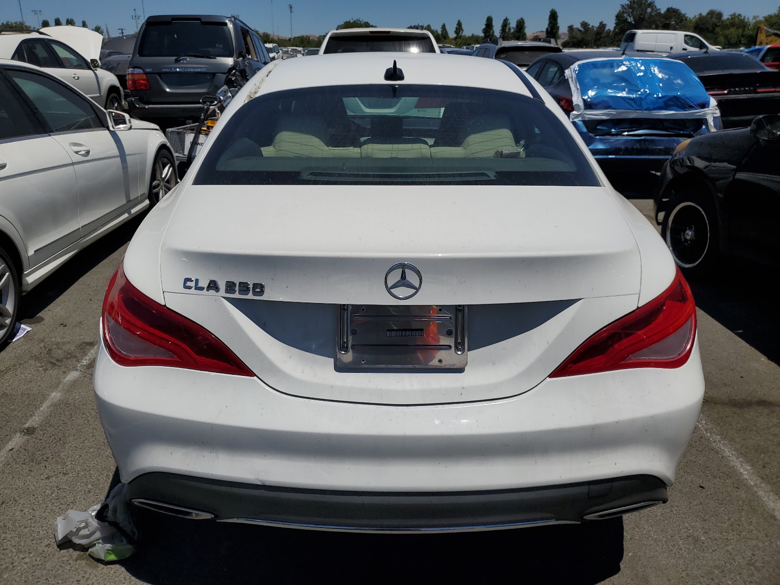 WDDSJ4EB3KN712599 2019 Mercedes-Benz Cla 250