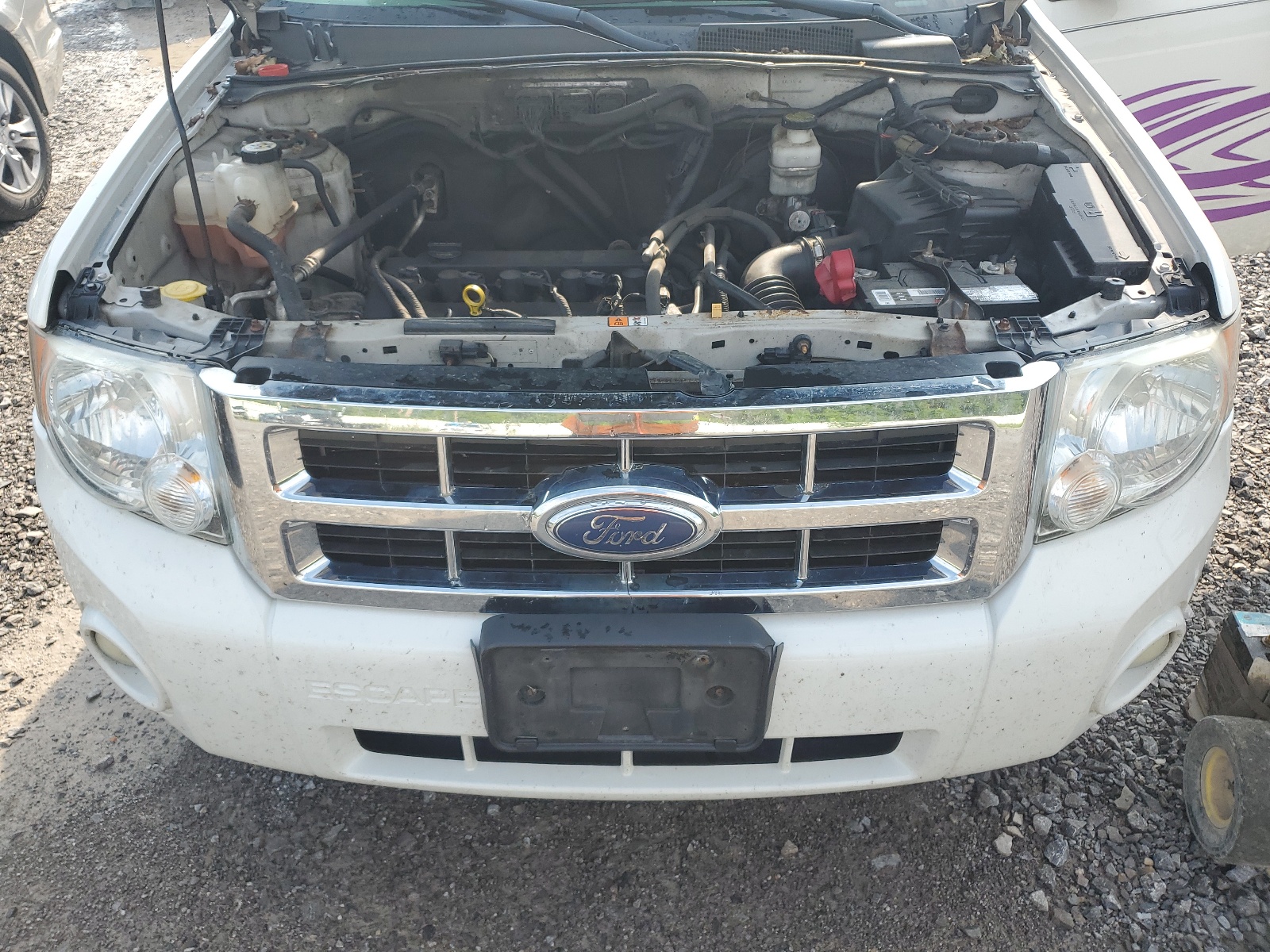 1FMCU9D76CKB84183 2012 Ford Escape Xlt