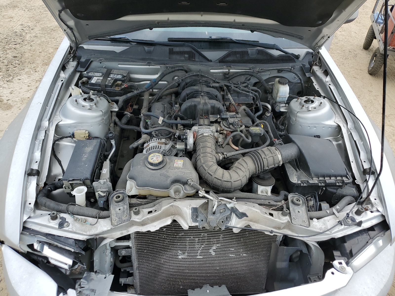 1ZVBP8ANXA5101769 2010 Ford Mustang