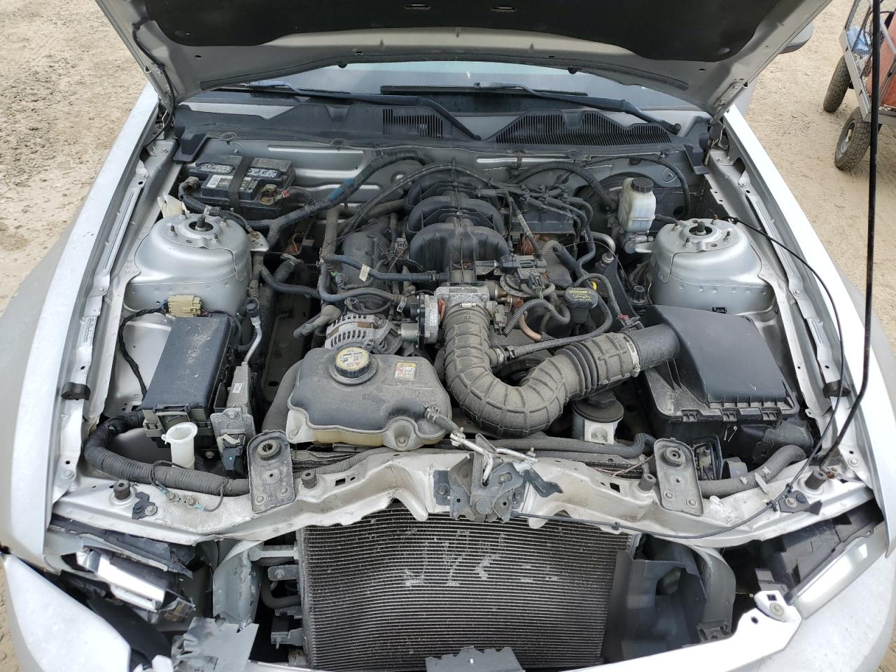 2010 Ford Mustang VIN: 1ZVBP8ANXA5101769 Lot: 64178834