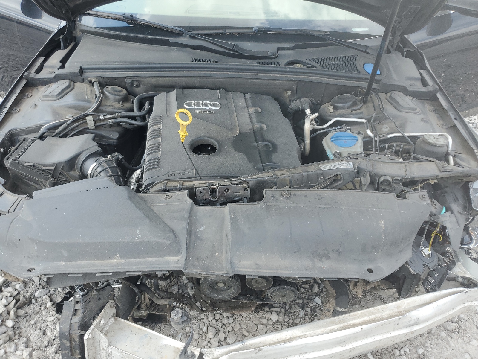 WAUFFAFLXCN008756 2012 Audi A4 Premium Plus