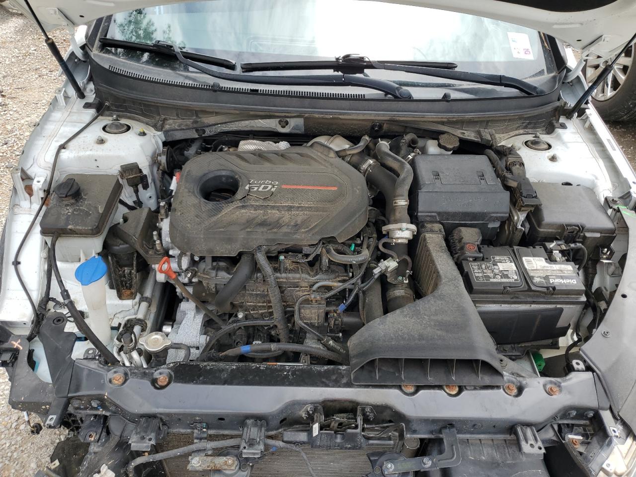 2018 Hyundai Sonata Sport VIN: 5NPE34AB9JH667254 Lot: 62804894