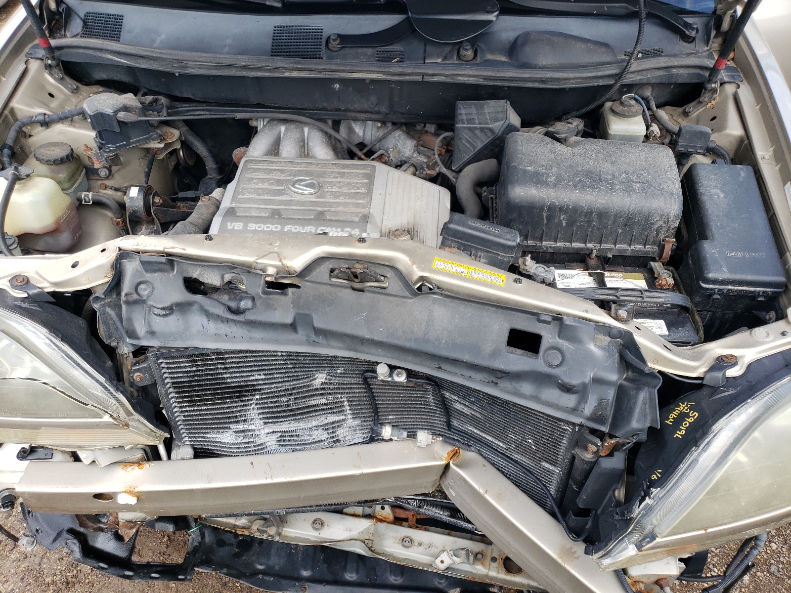 JT6HF10U3X0077540 1999 Lexus Rx 300