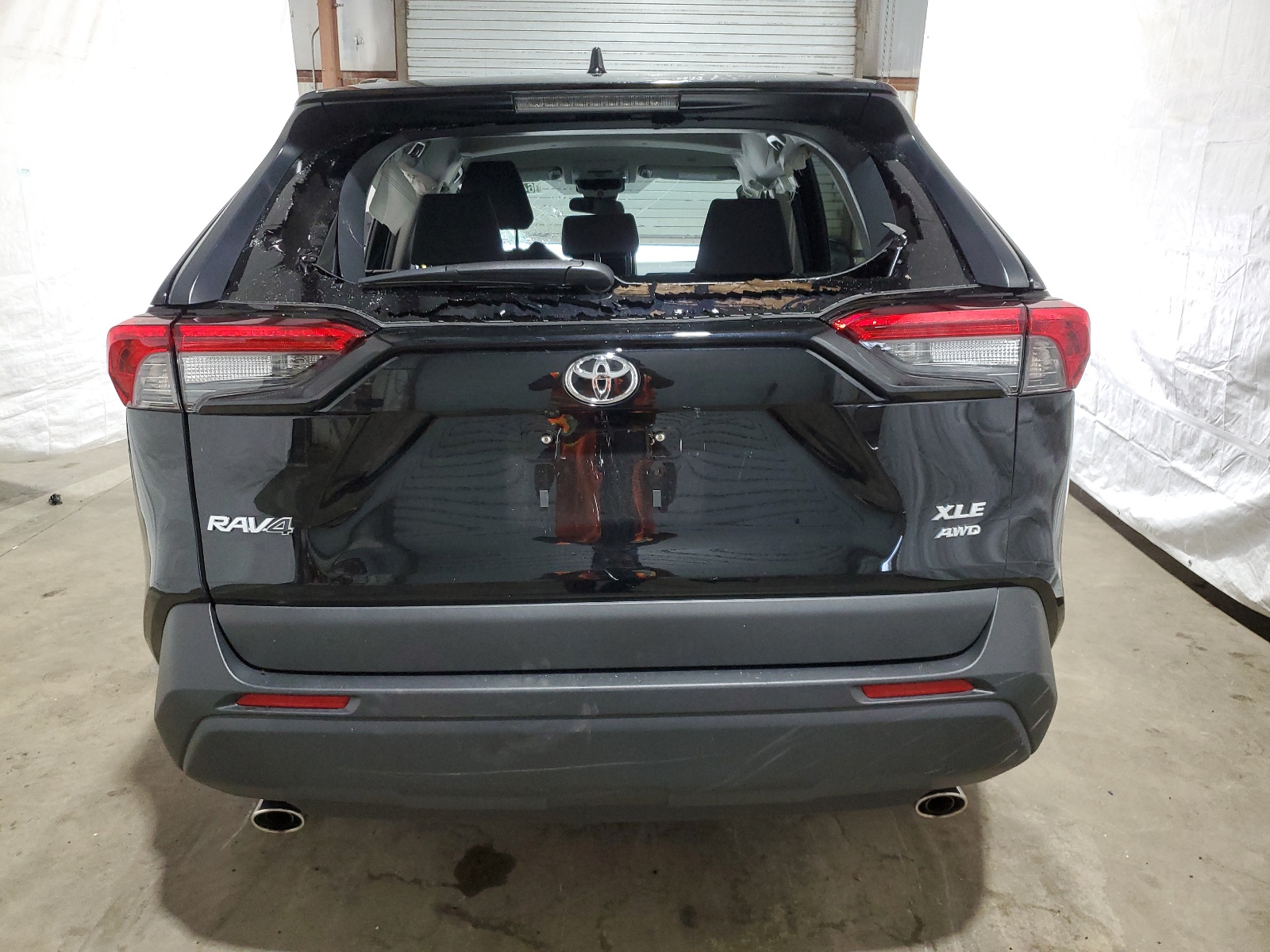 2T3P1RFV8RC446779 2024 Toyota Rav4 Xle