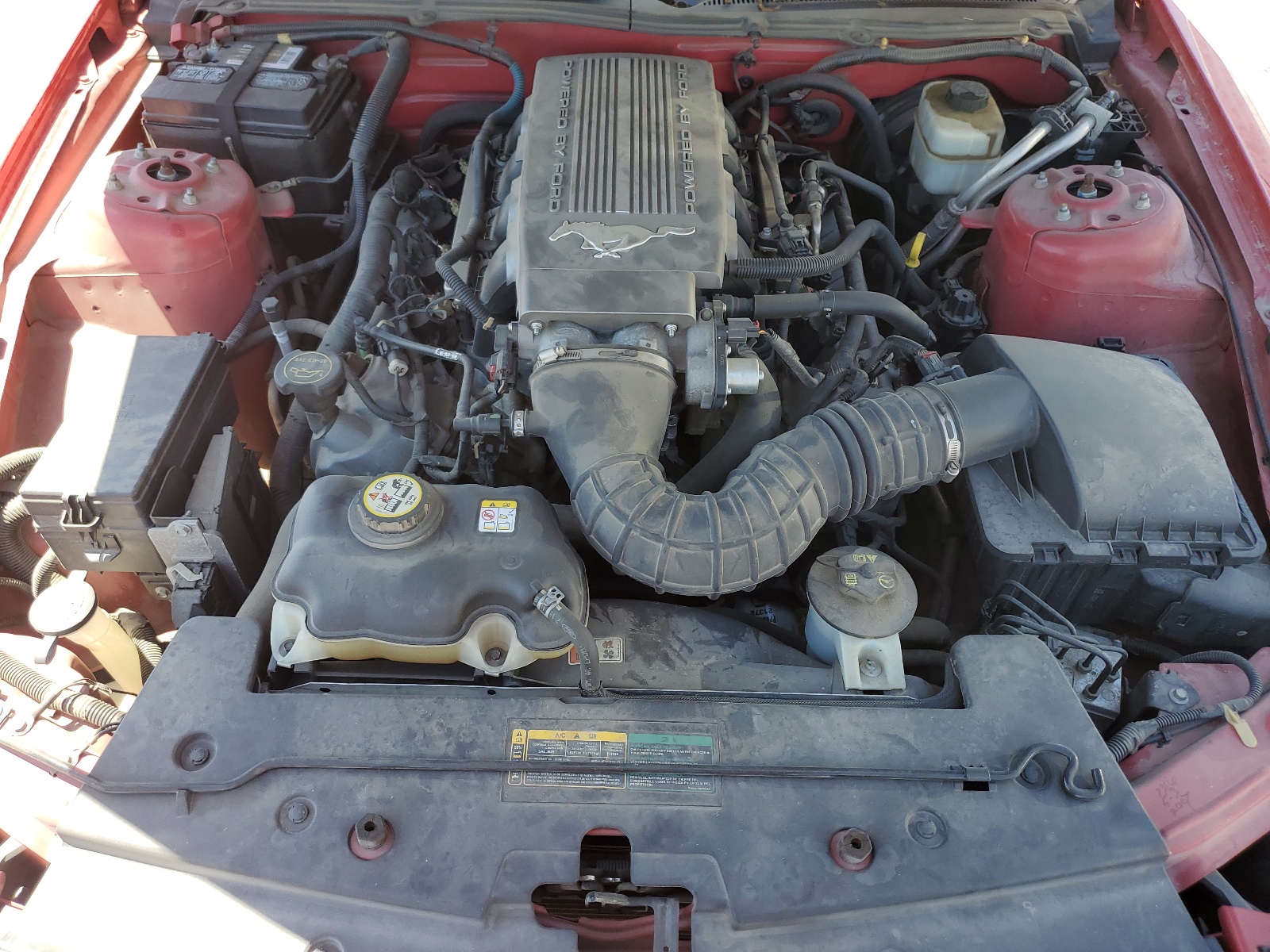 1ZVHT82H075337709 2007 Ford Mustang Gt