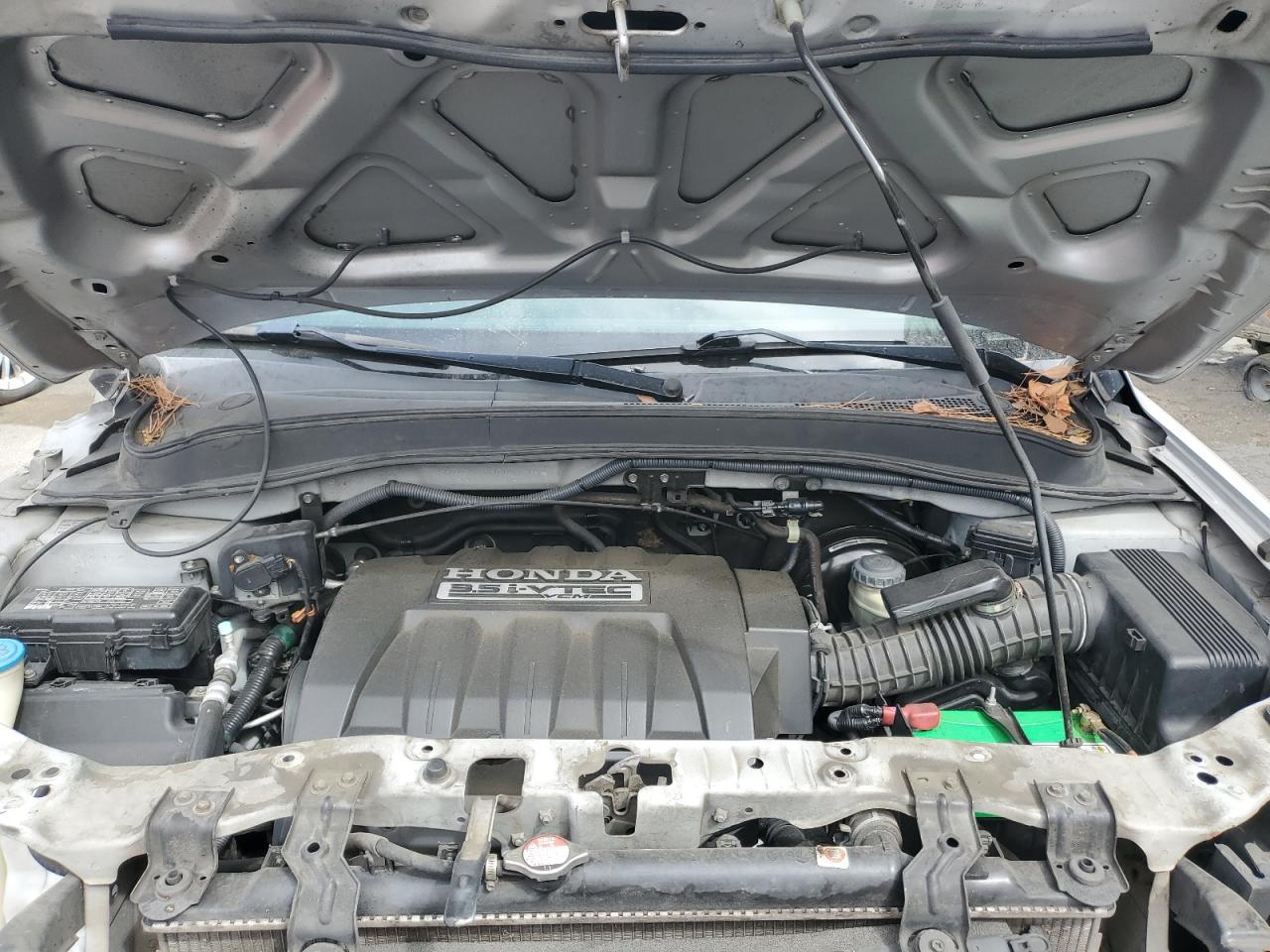 2007 Honda Pilot Exl VIN: 5FNYF28537B007372 Lot: 65068794