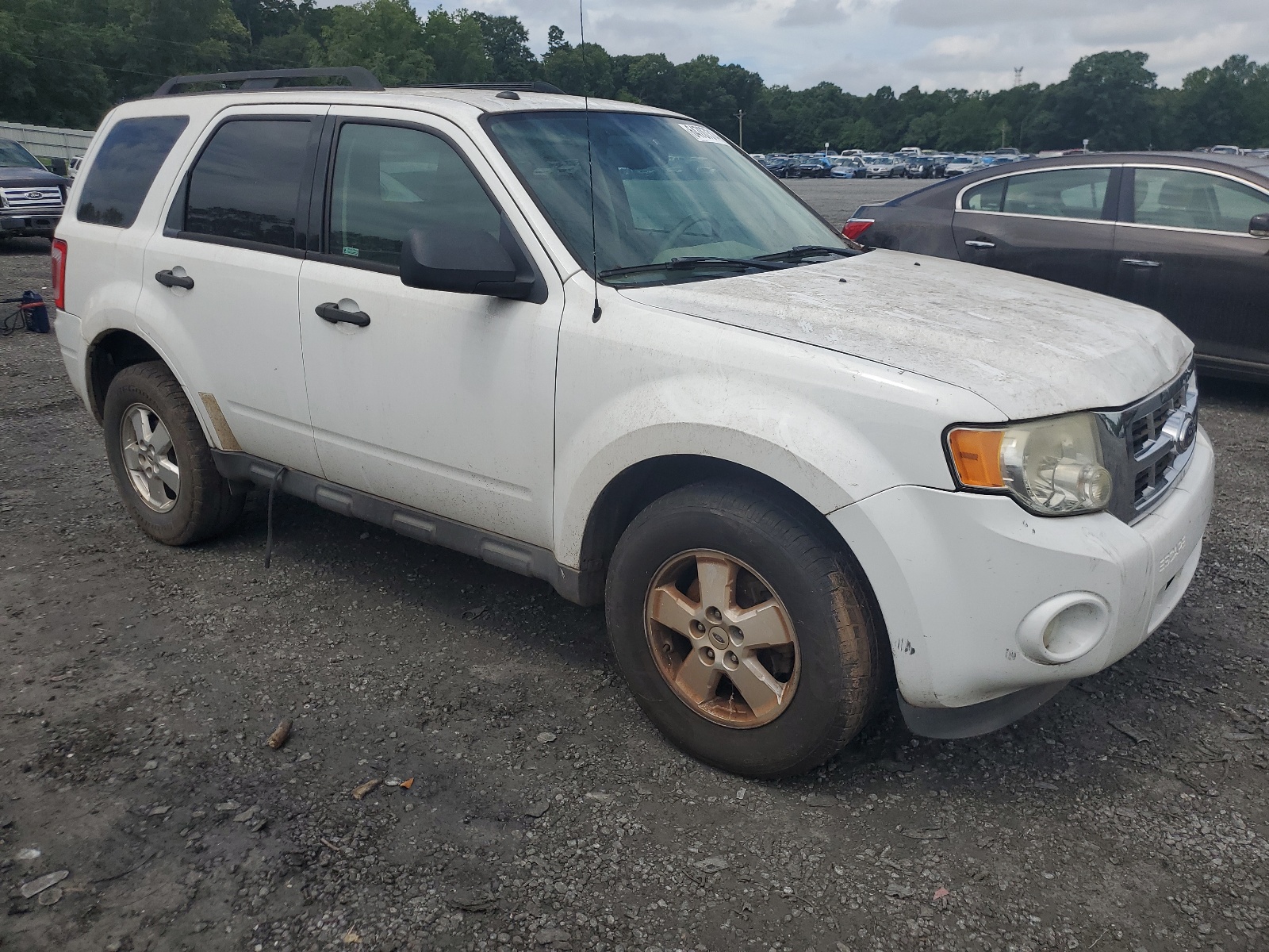 2012 Ford Escape Xlt vin: 1FMCU9DG5CKC55292