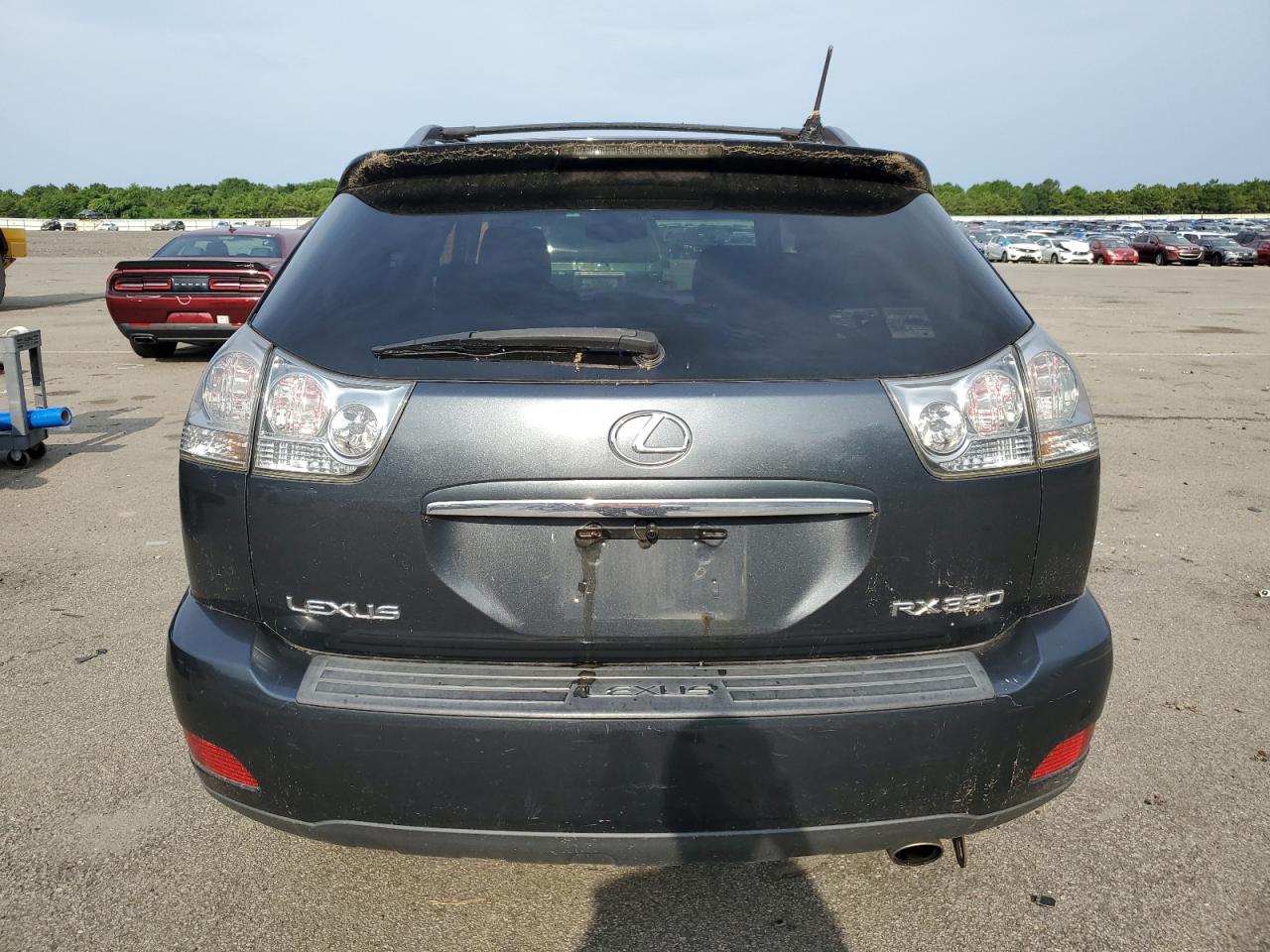 2004 Lexus Rx 330 VIN: 2T2HA31U44C013425 Lot: 64290734