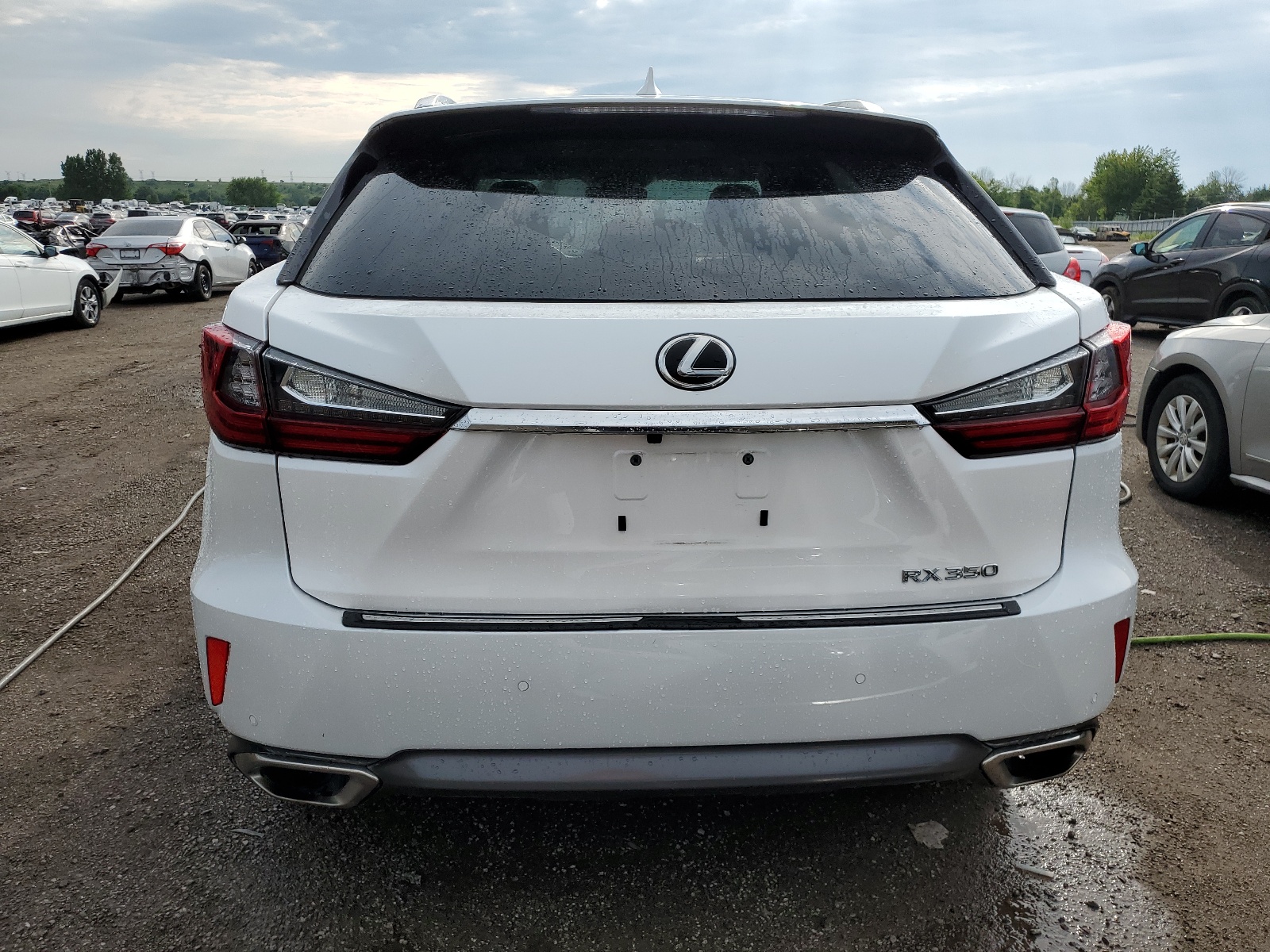 2T2BZMCA7GC008439 2016 Lexus Rx 350 Base