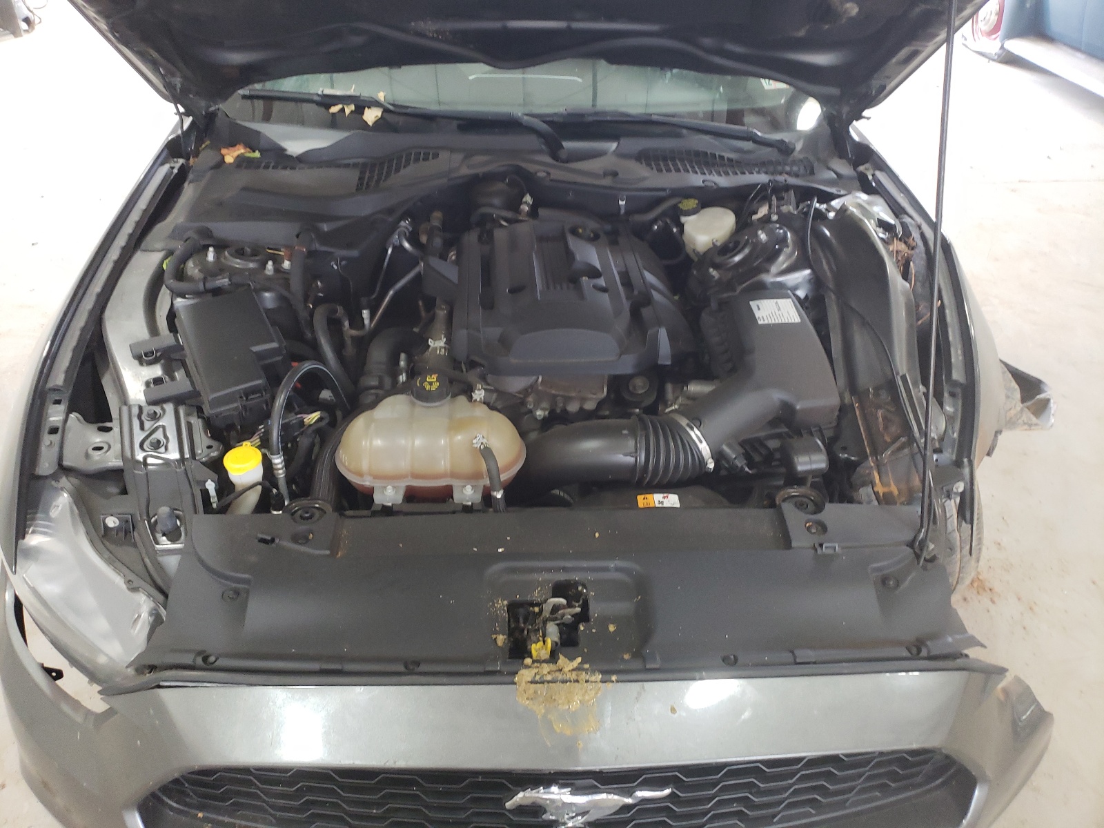 1FA6P8TH3G5337156 2016 Ford Mustang