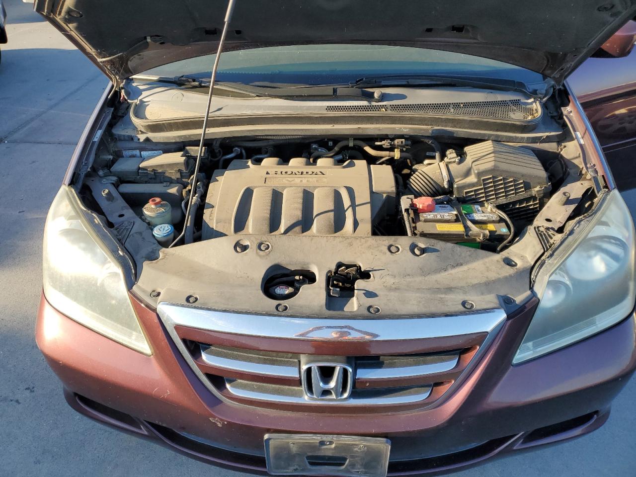 2007 Honda Odyssey Ex VIN: 5FNRL38437B079747 Lot: 64322094