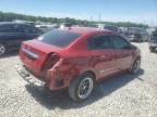 2010 Nissan Sentra 2.0 na sprzedaż w Memphis, TN - Rear End