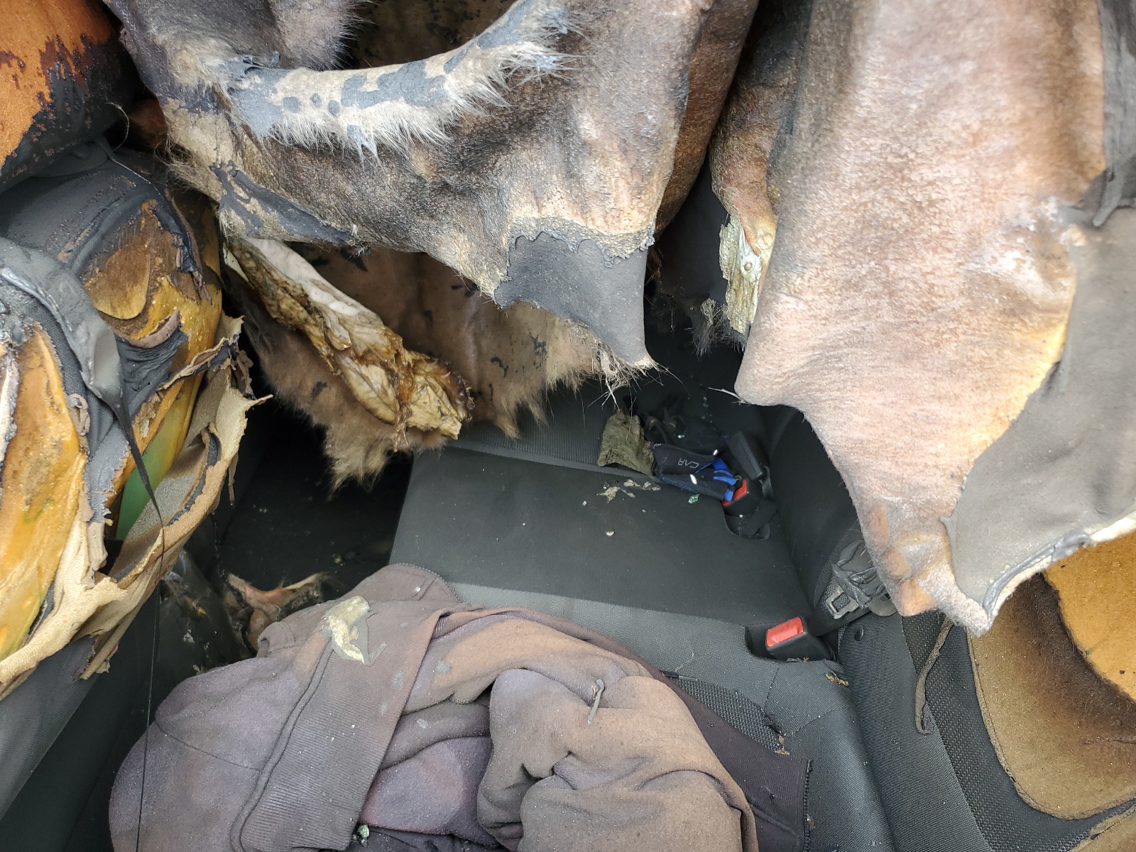 3KPC24A36KE064027 2019 Hyundai Accent Se