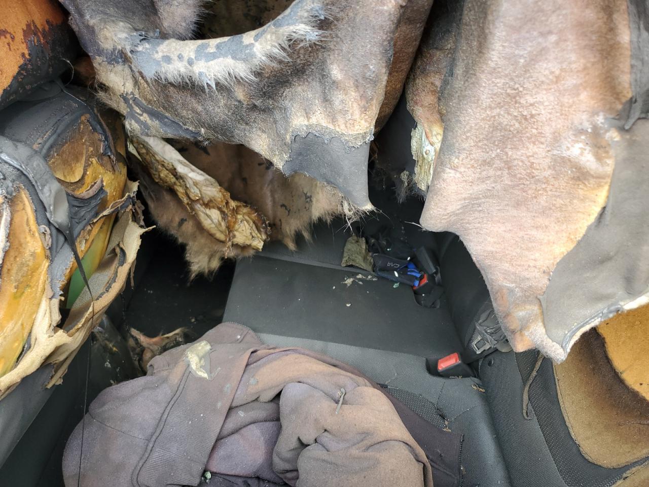 2019 Hyundai Accent Se VIN: 3KPC24A36KE064027 Lot: 63638474