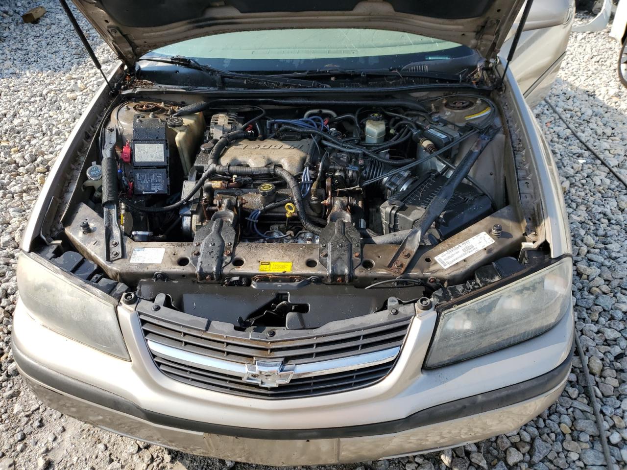 2G1WF52E619149981 2001 Chevrolet Impala