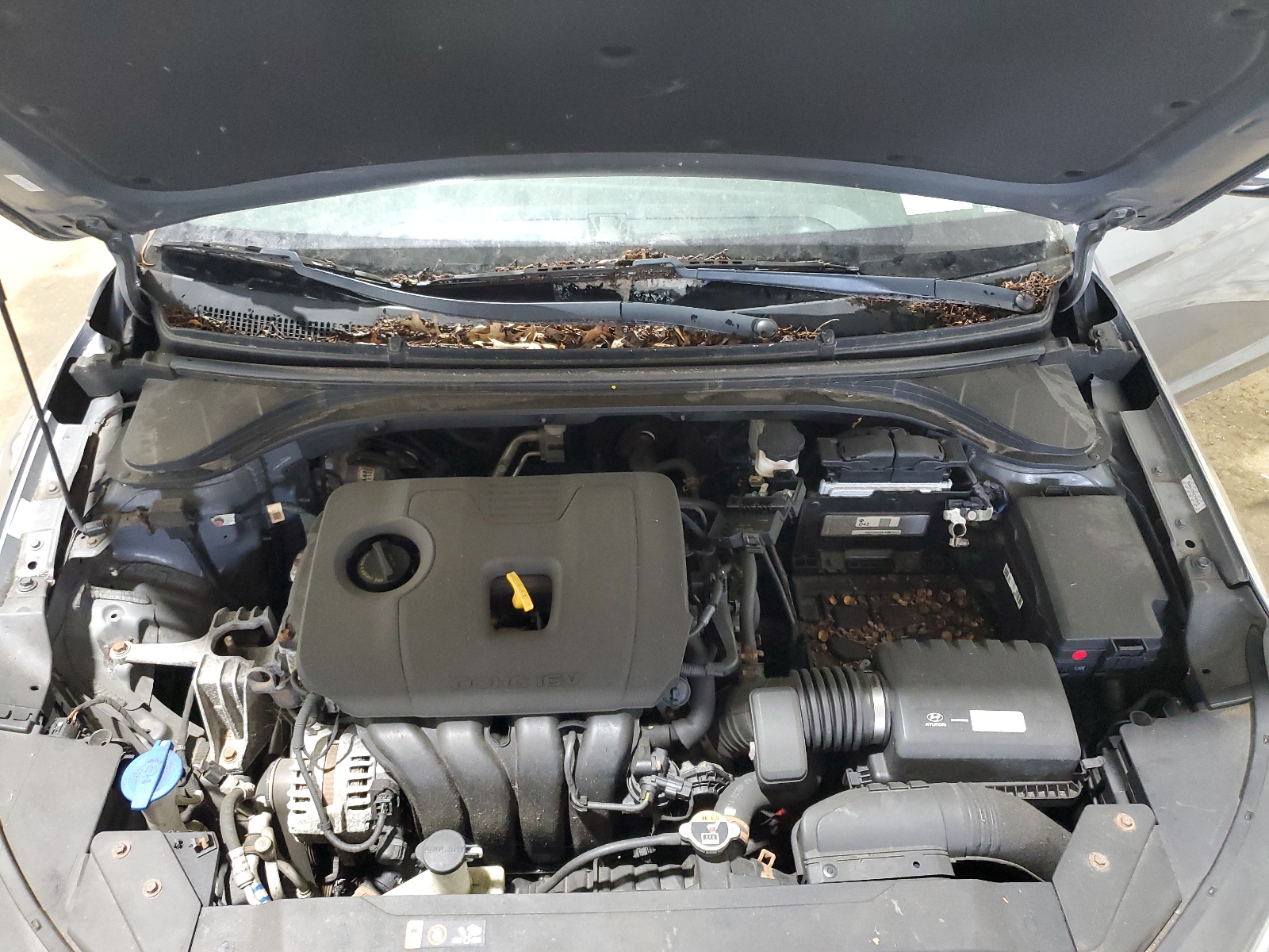 KMHD84LF6KU770096 2019 Hyundai Elantra Sel