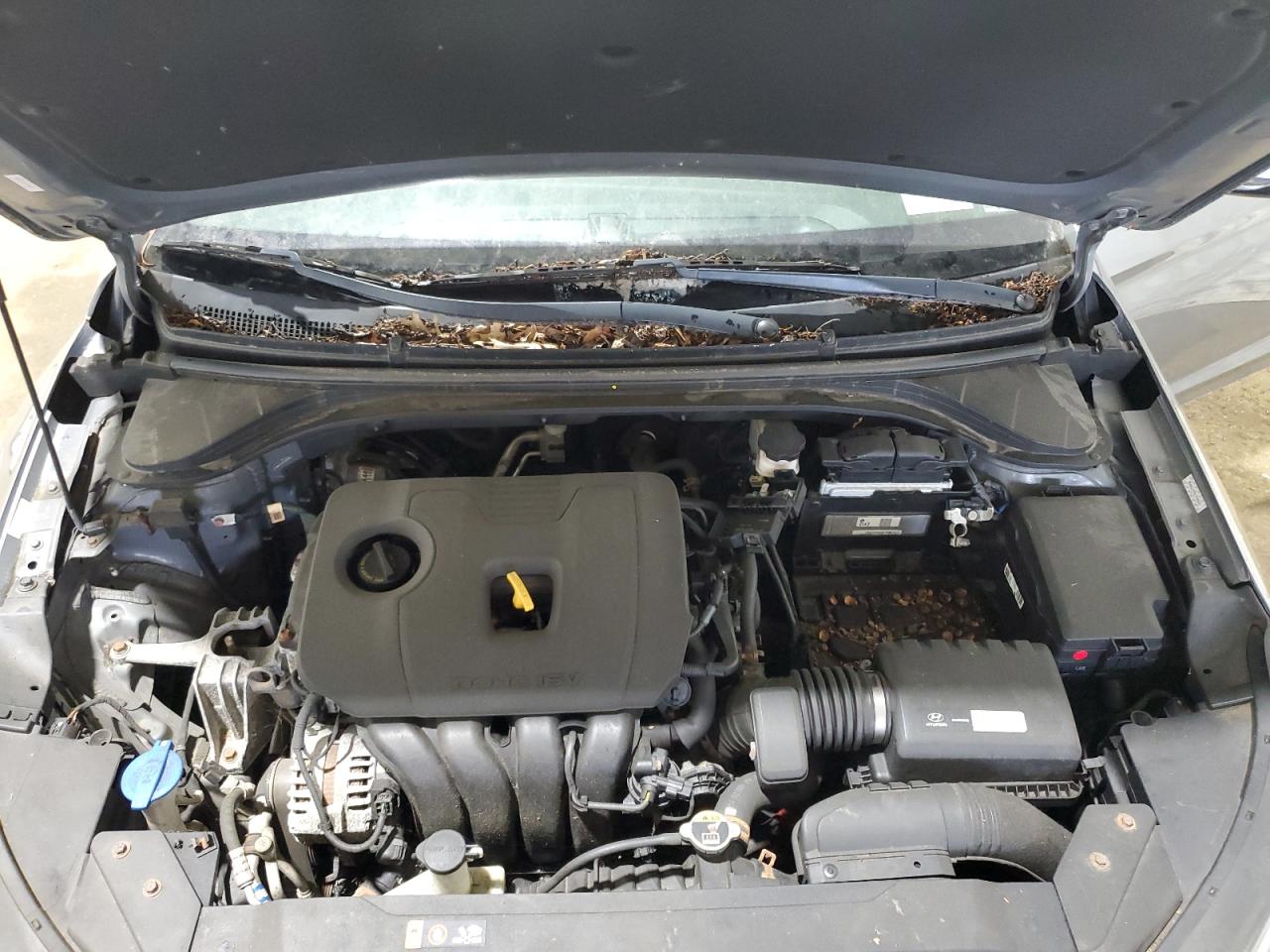 2019 Hyundai Elantra Sel VIN: KMHD84LF6KU770096 Lot: 62107644