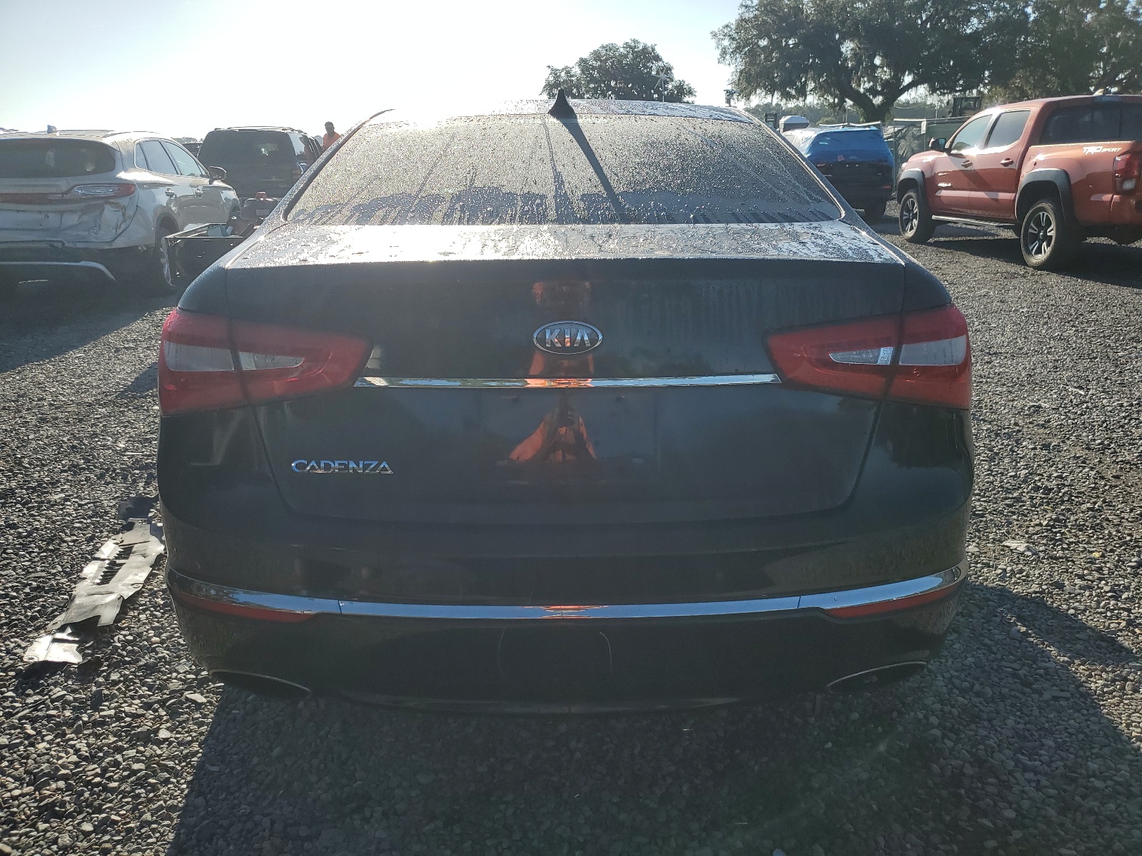 KNALN4D73E5129788 2014 Kia Cadenza Premium