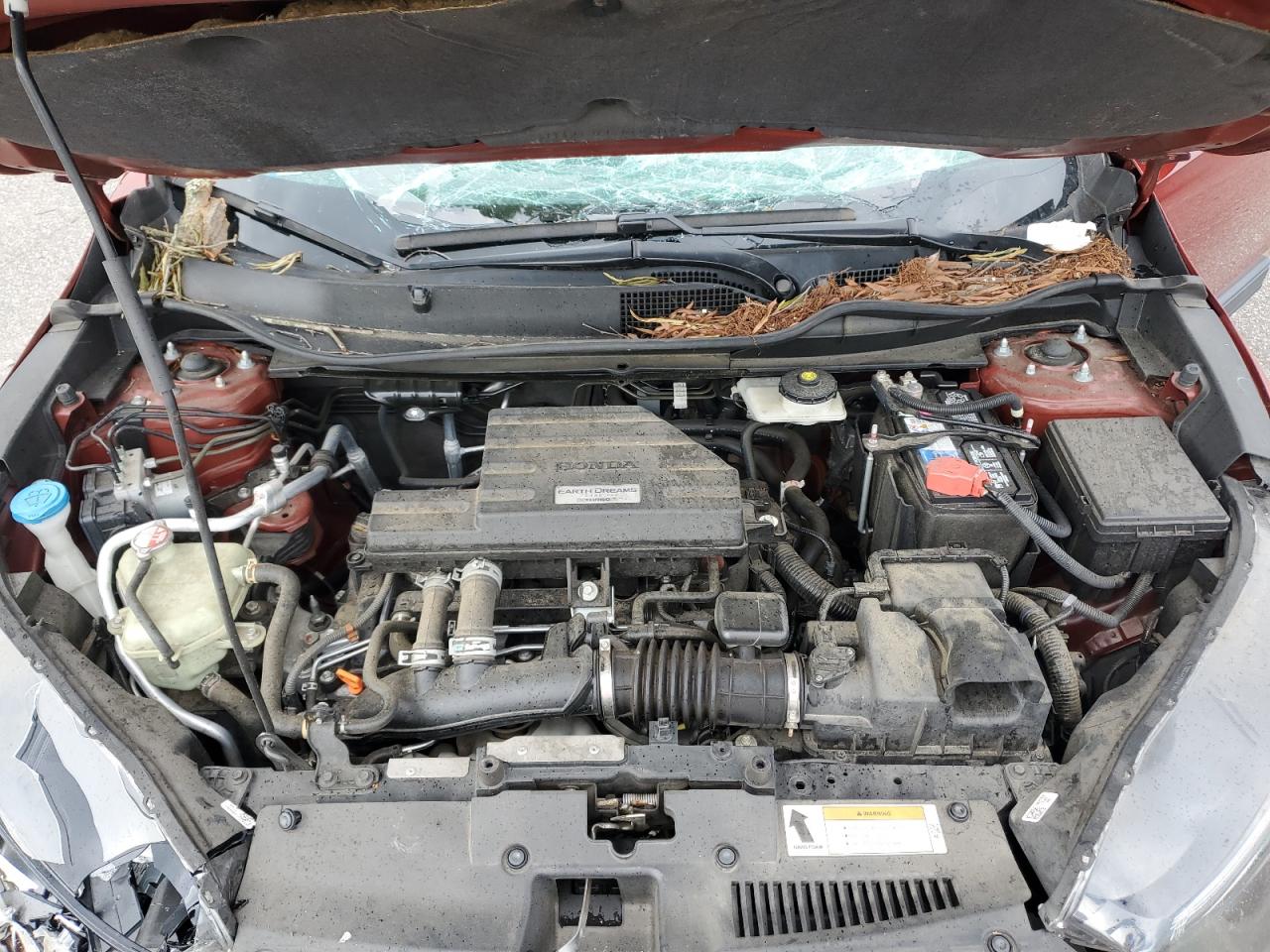 2019 Honda Cr-V Exl VIN: 2HKRW1H81KH503662 Lot: 64287994