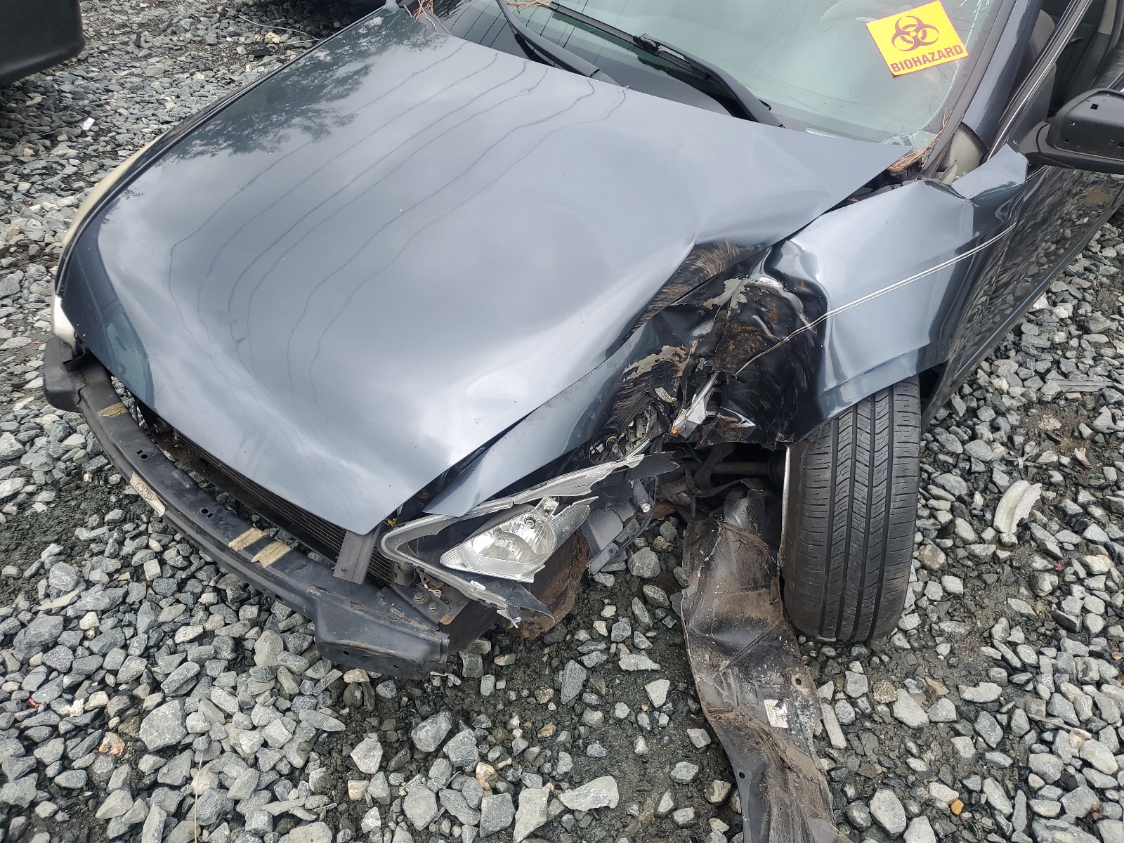 1HGCM56694A095881 2004 Honda Accord Ex