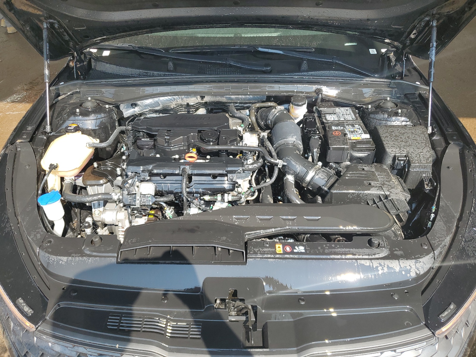 5XXG14J21PG221263 2023 Kia K5 Lxs