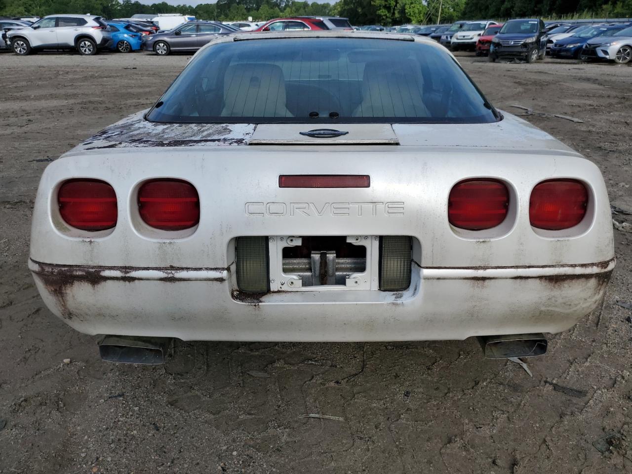 1991 Chevrolet Corvette VIN: 1G1YY2389M5103492 Lot: 64022844