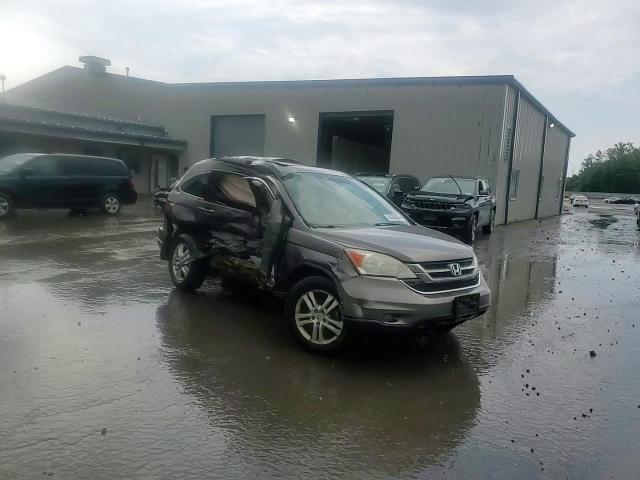 2010 Honda Cr-V Exl VIN: 5J6RE4H77AL062782 Lot: 64360304