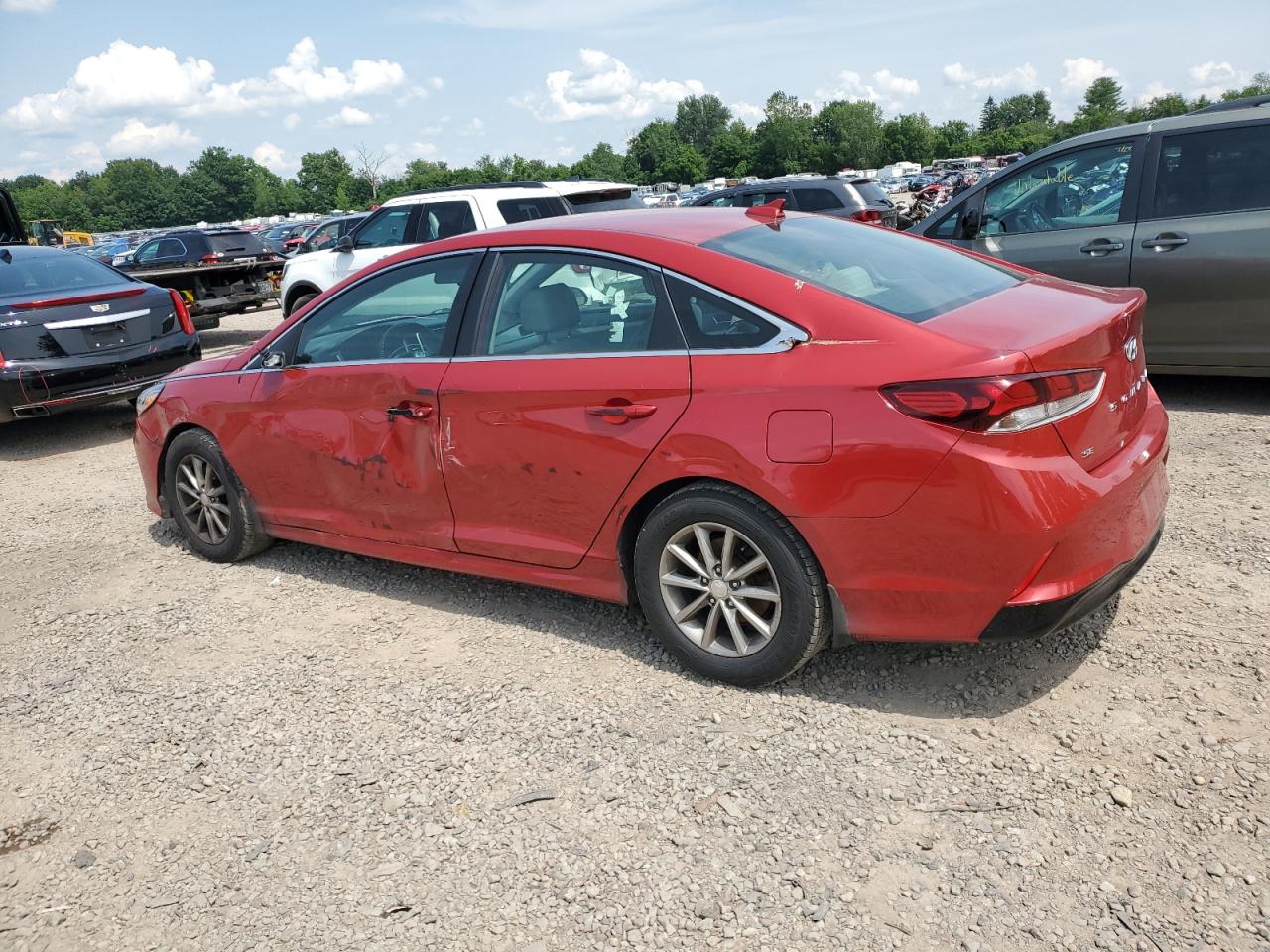 VIN 5NPE24AF2KH796329 2019 HYUNDAI SONATA no.2