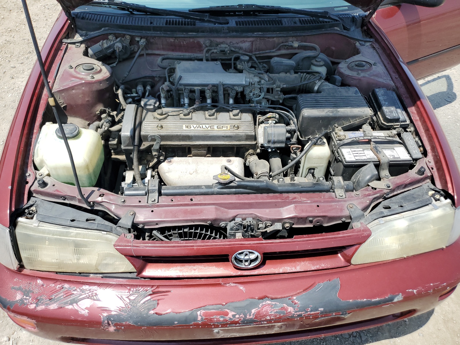 1NXAE09B0RZ126483 1994 Toyota Corolla Le