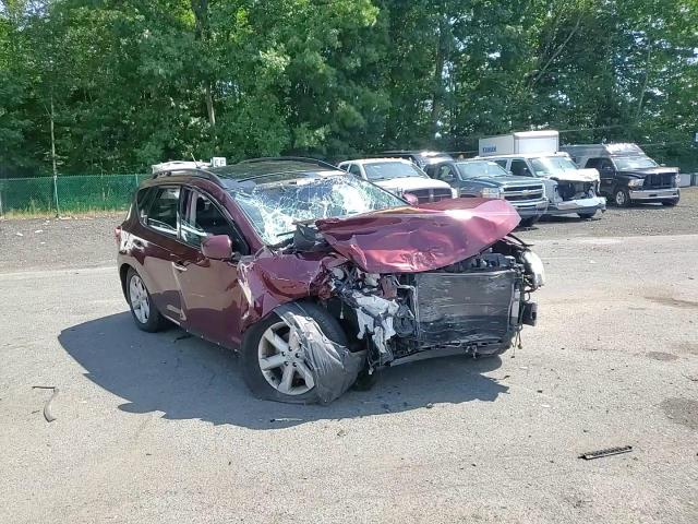 2009 Nissan Murano S VIN: JN8AZ18W99W148350 Lot: 61382864