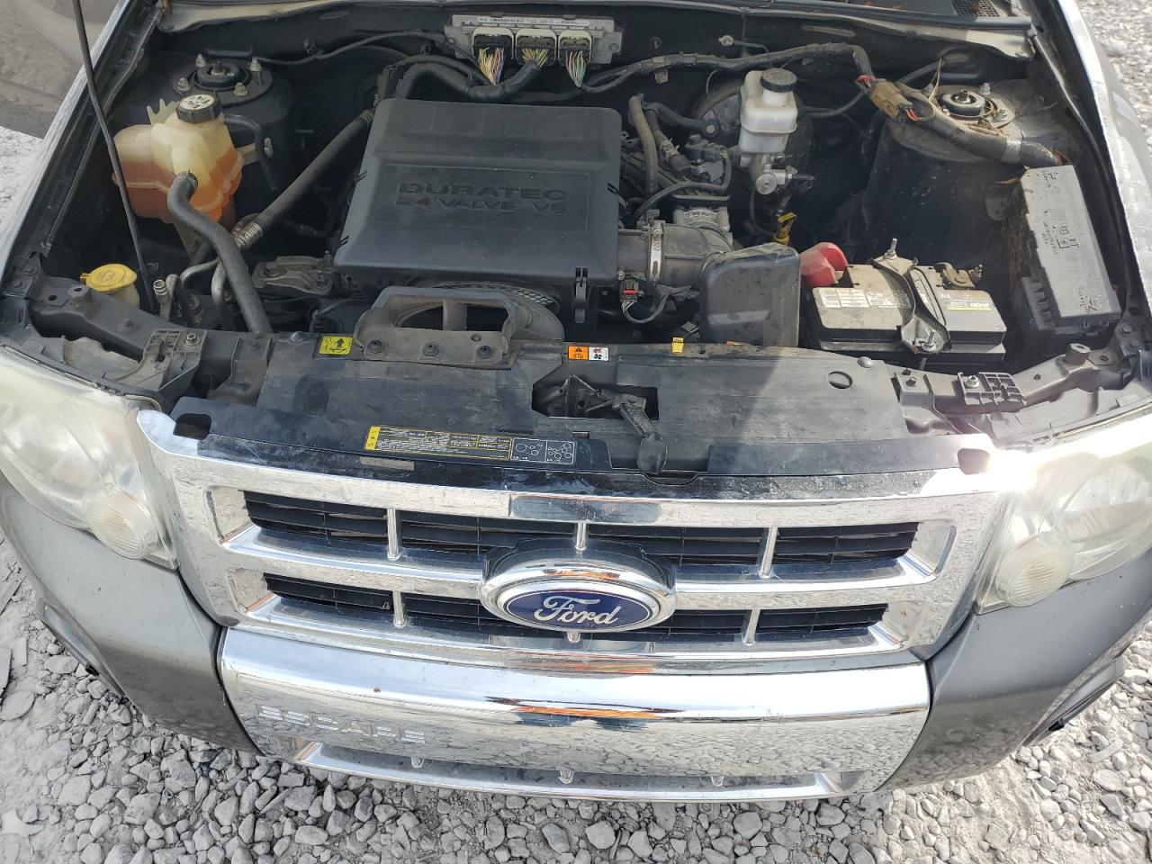 2010 Ford Escape Limited VIN: 1FMCU0EG7AKB01643 Lot: 63401614