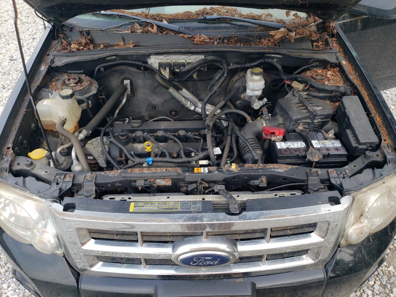 2009 Ford Escape Xlt VIN: 1FMCU03739KB78475 Lot: 63115124