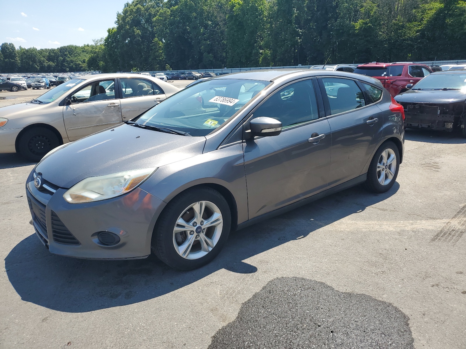 2014 Ford Focus Se vin: 1FADP3K21EL135674