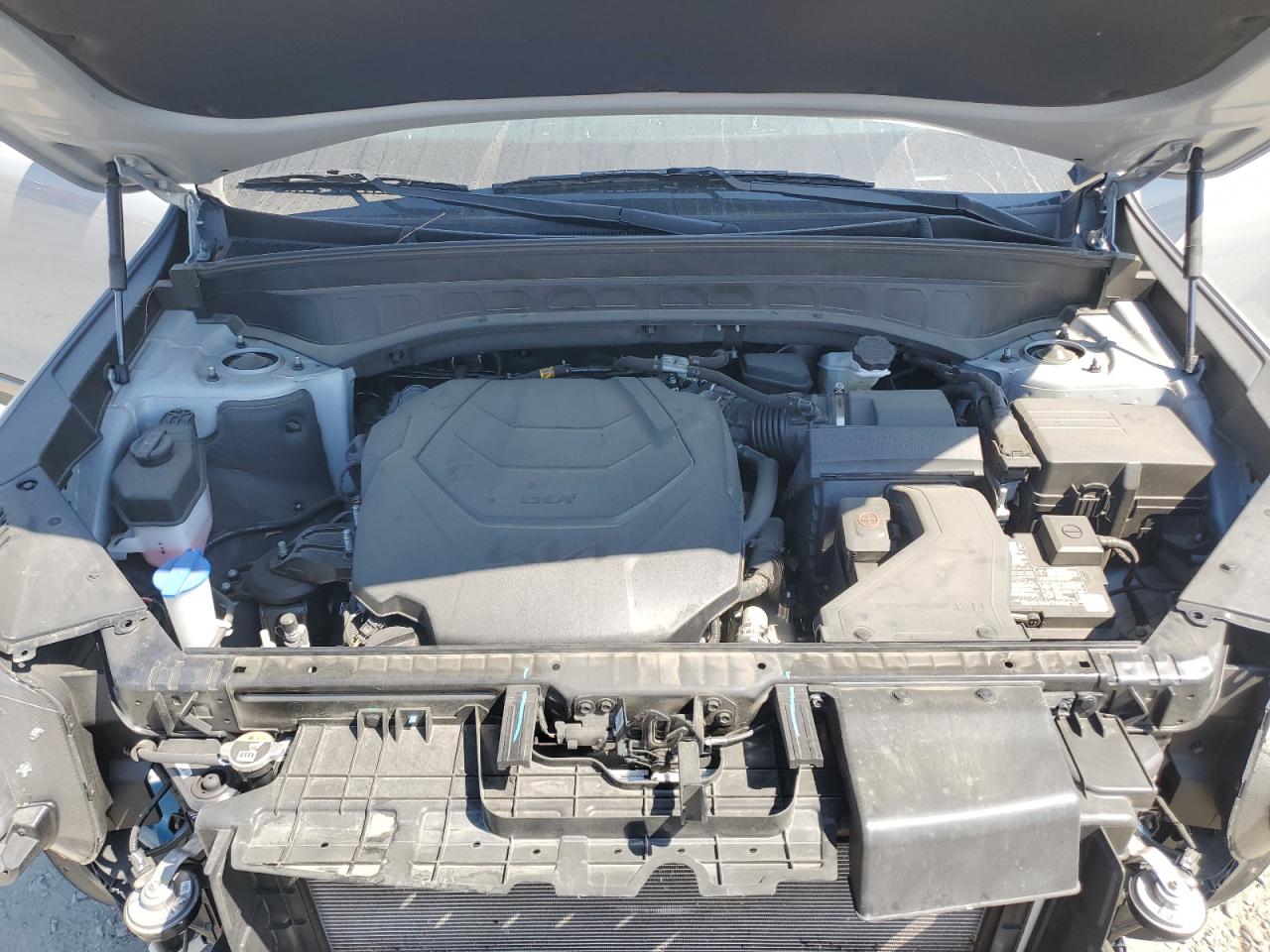 2023 Kia Telluride Ex VIN: 5XYP3DGC2PG391007 Lot: 63672474