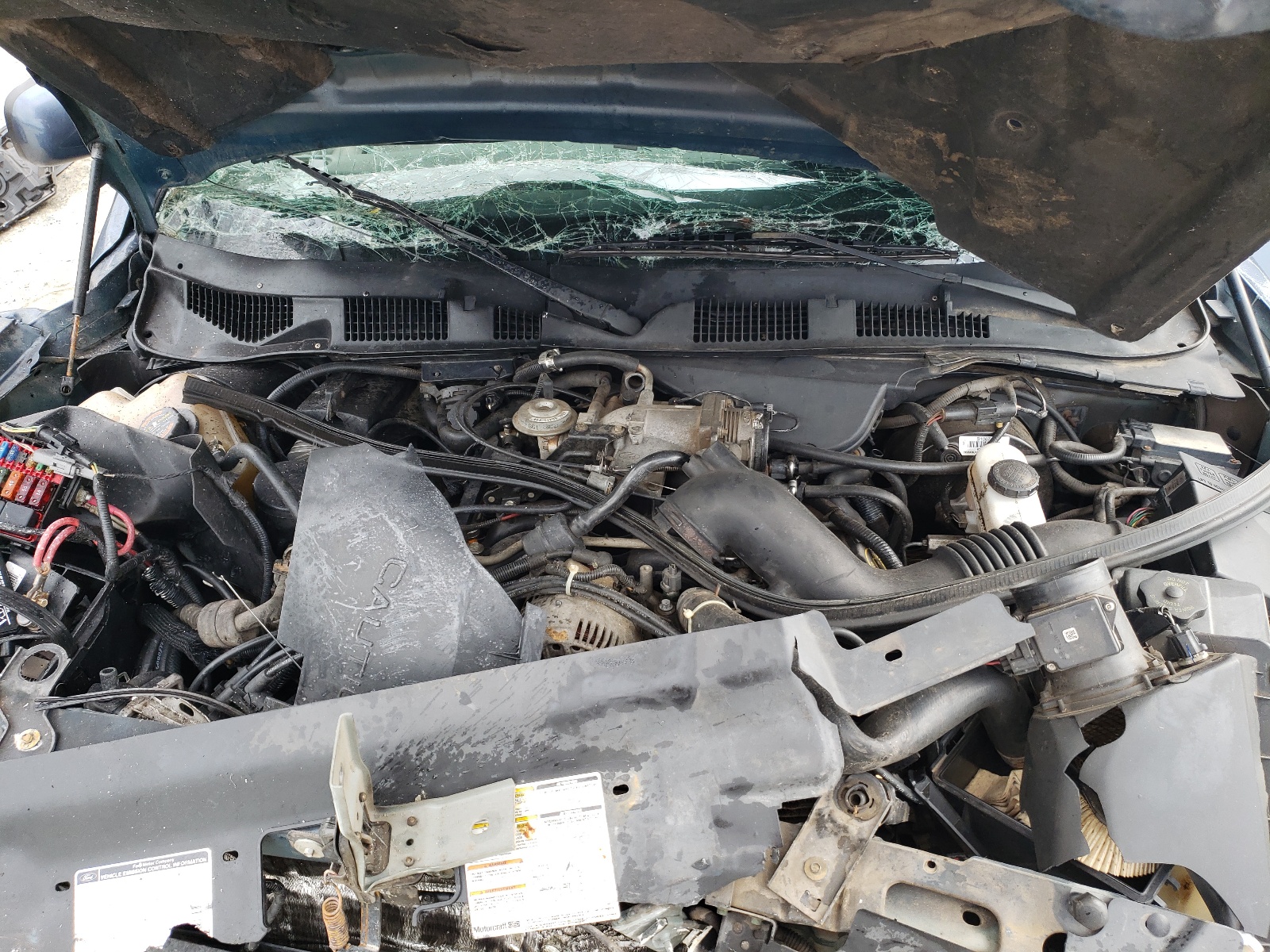 2FALP73W0TX213513 1996 Ford Crown Victoria