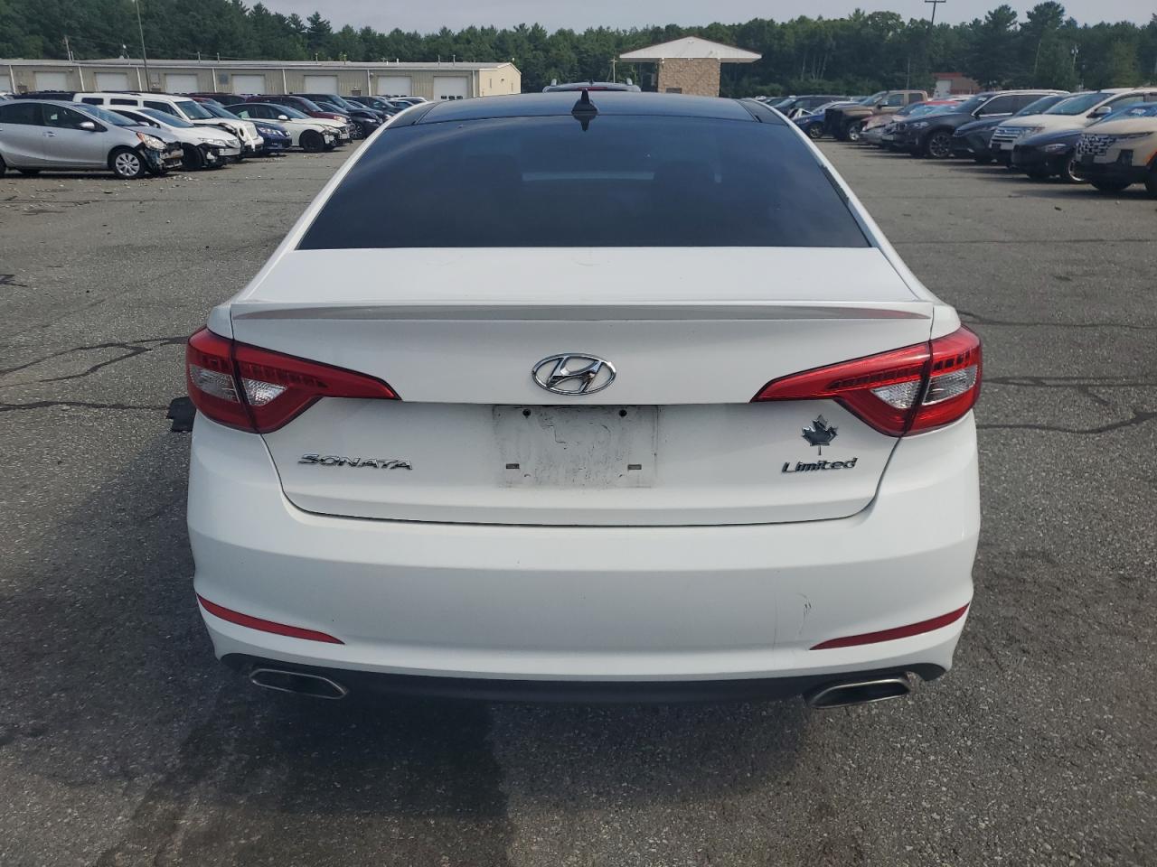 2015 Hyundai Sonata Sport VIN: 5NPE34AFXFH064355 Lot: 61482534