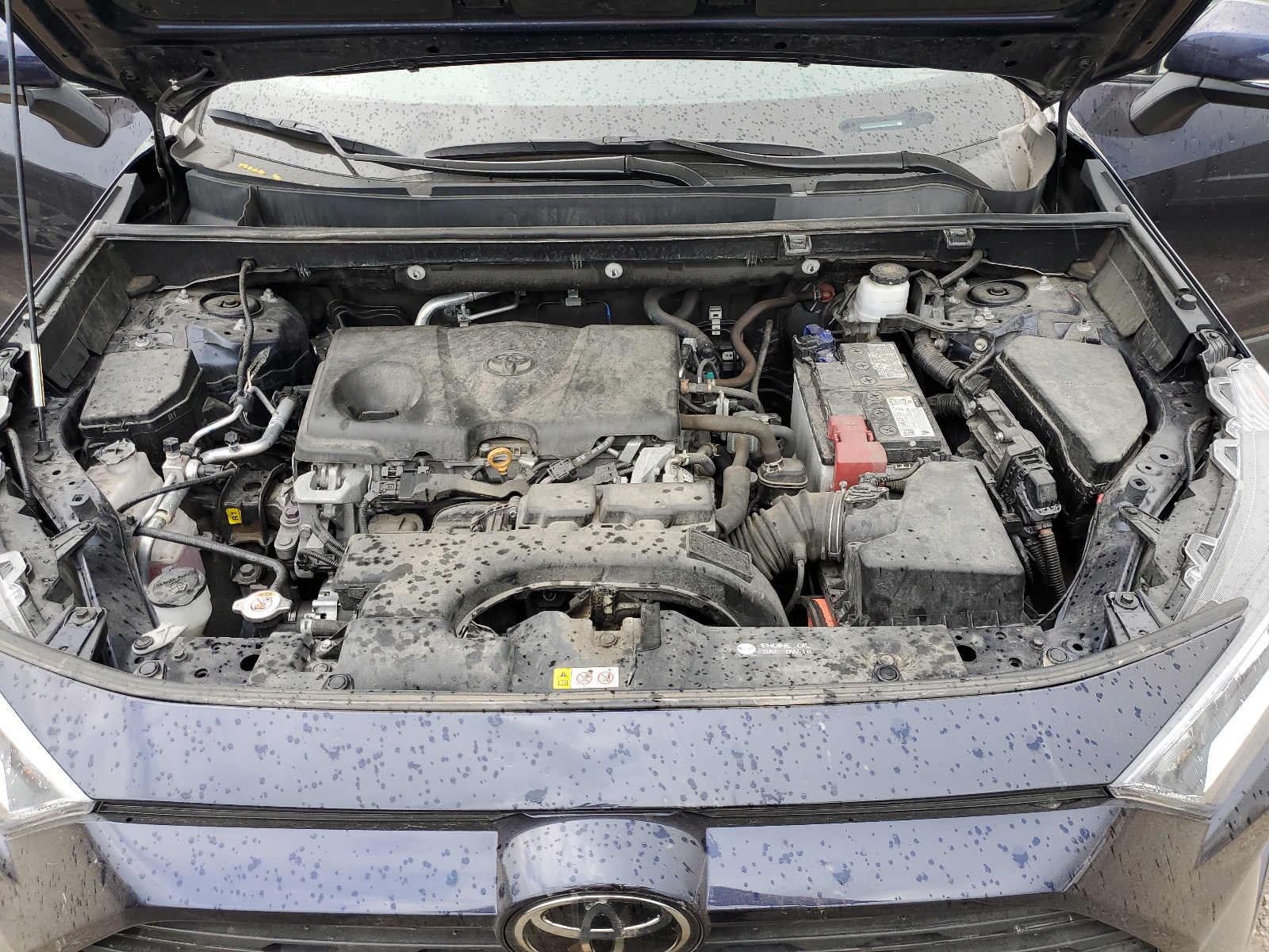 2T3W1RFV5MW183573 2021 Toyota Rav4 Xle