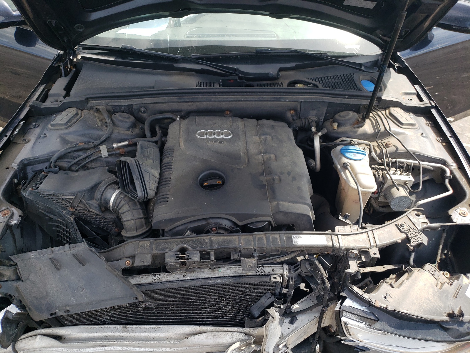 WAUFFAFL5DN017799 2013 Audi A4 Premium Plus