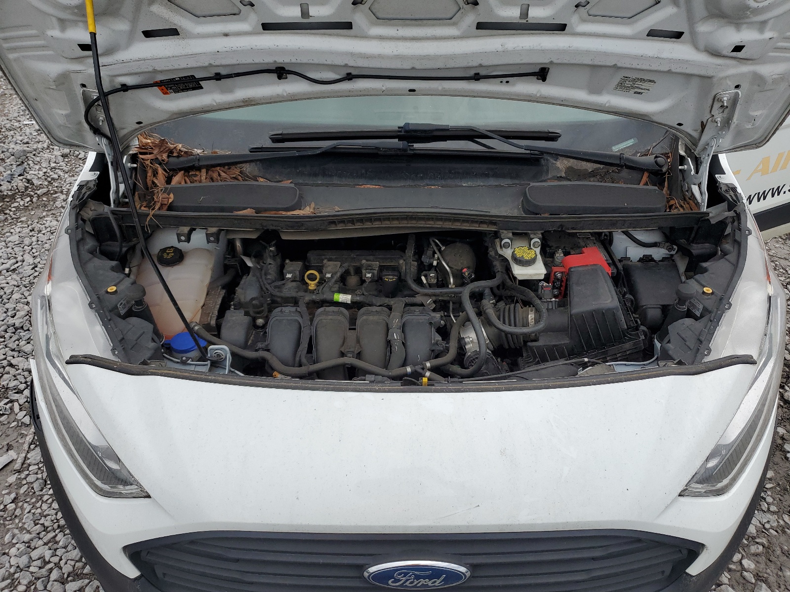 NM0LS7E25K1393224 2019 Ford Transit Connect Xl