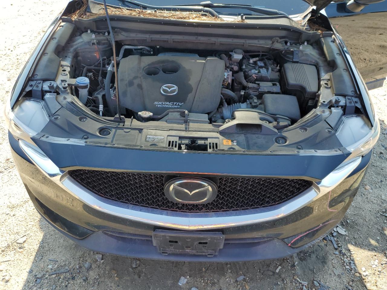 2019 Mazda Cx-5 Touring VIN: JM3KFBCM1K0562436 Lot: 61224054