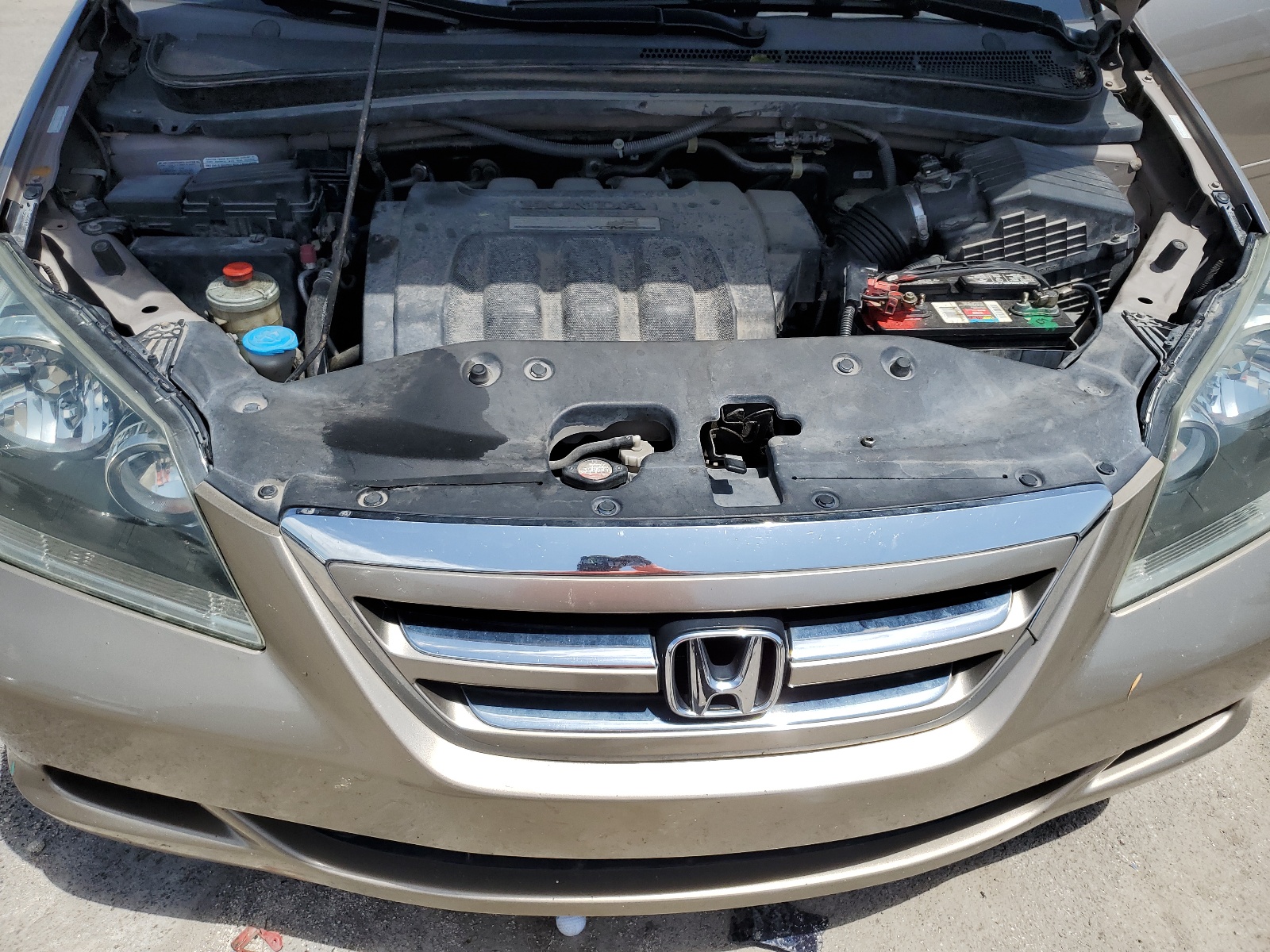 5FNRL38637B429394 2007 Honda Odyssey Exl
