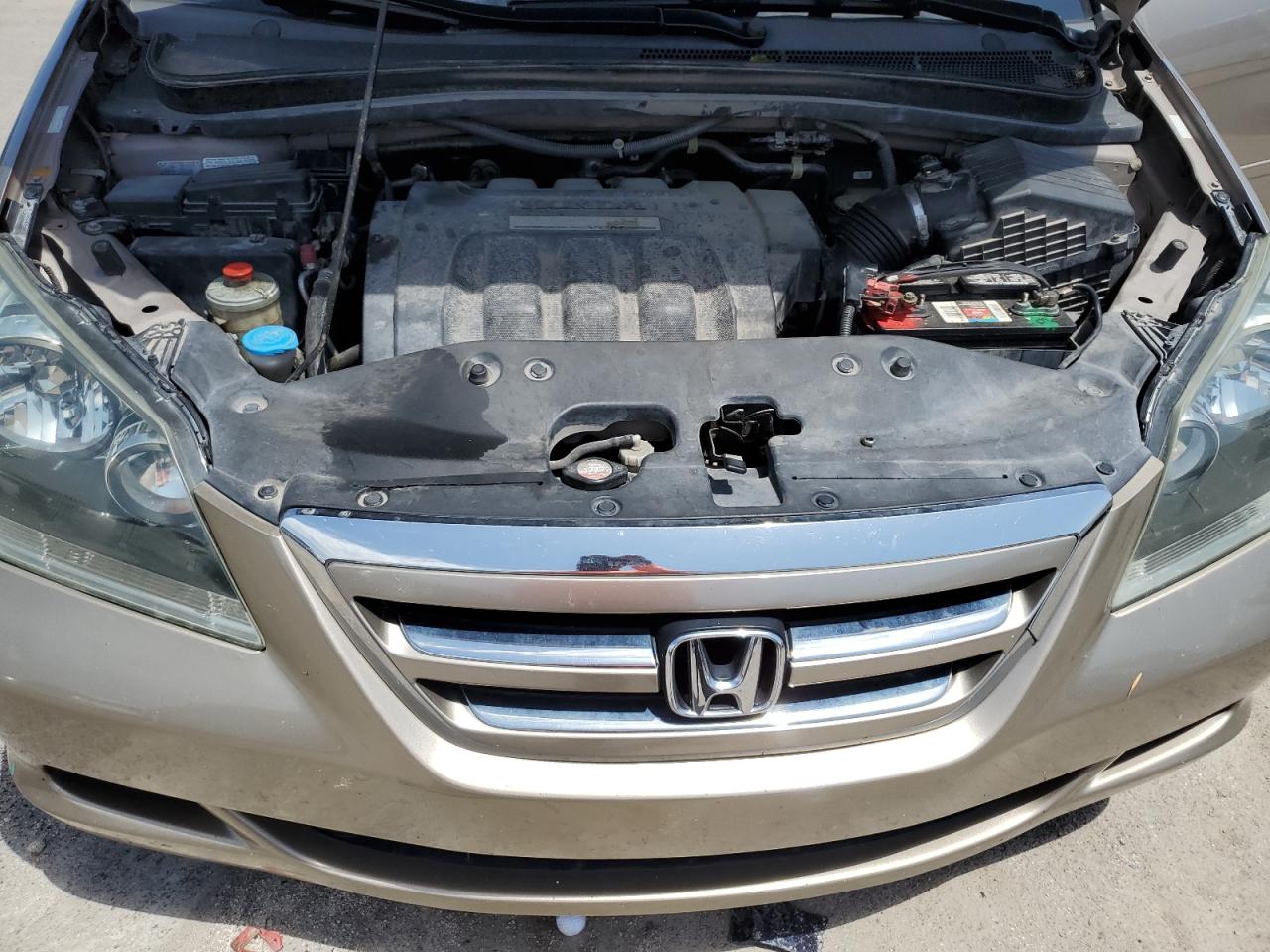 2007 Honda Odyssey Exl VIN: 5FNRL38637B429394 Lot: 61520914